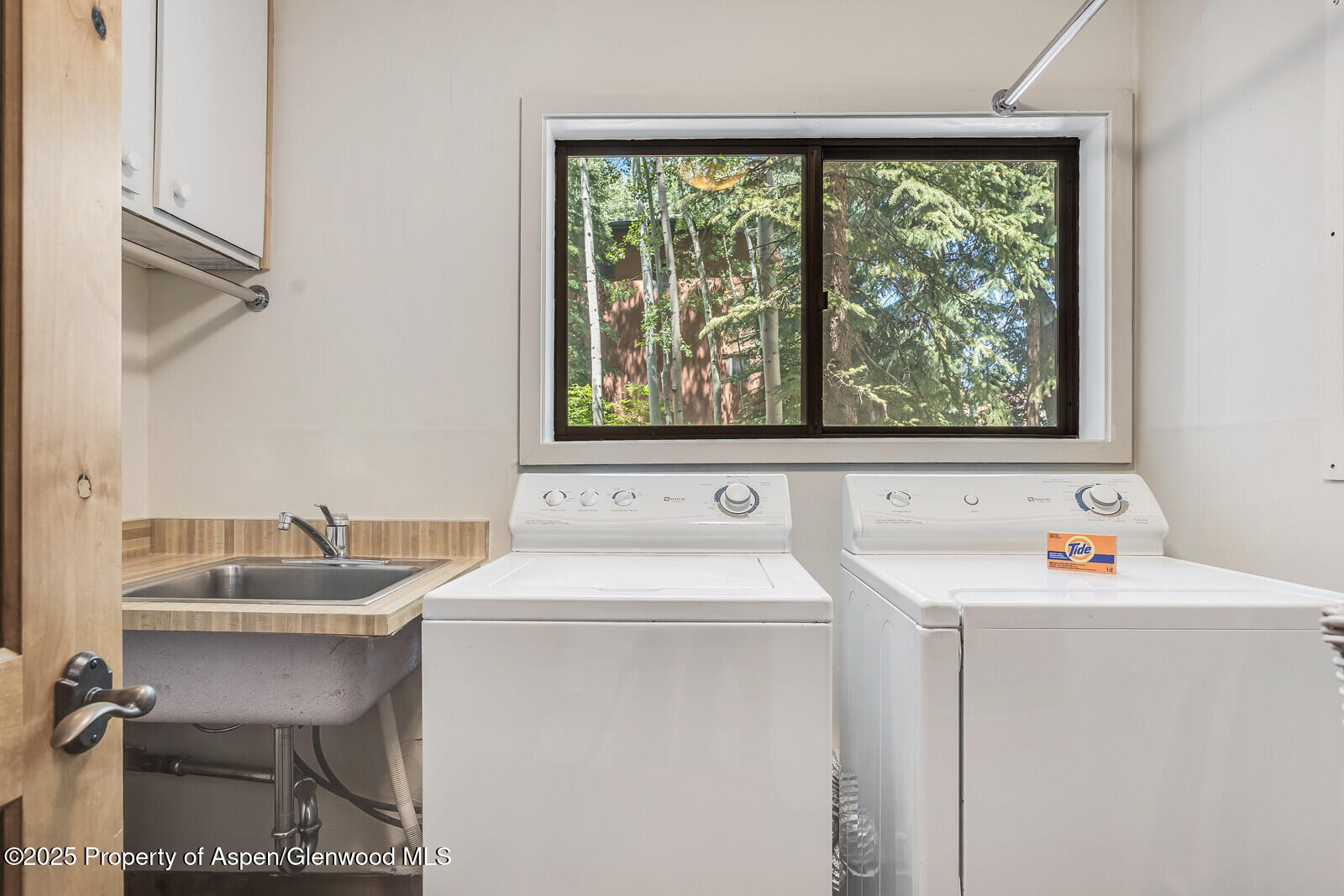 851 Ute Avenue Aspen CO 81611