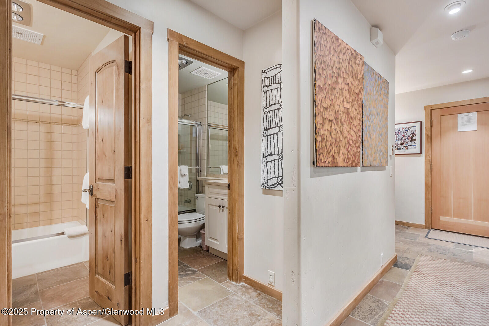 851 Ute Avenue Aspen CO 81611