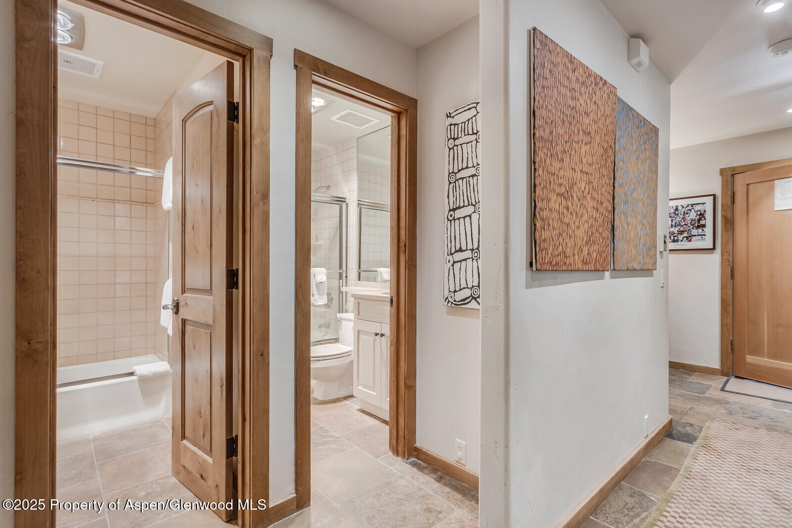 851 Ute Avenue Aspen CO 81611