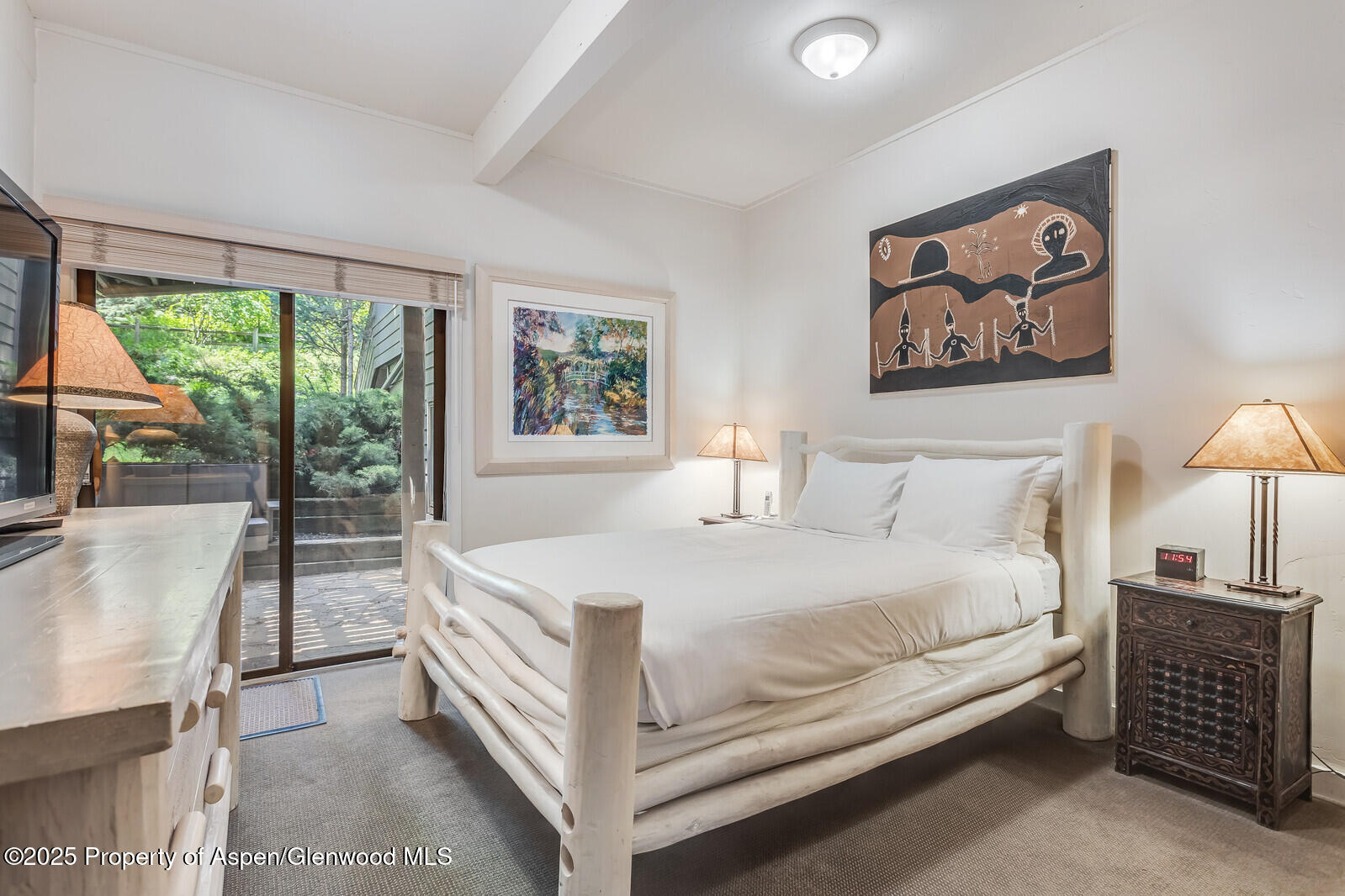 851 Ute Avenue Aspen CO 81611