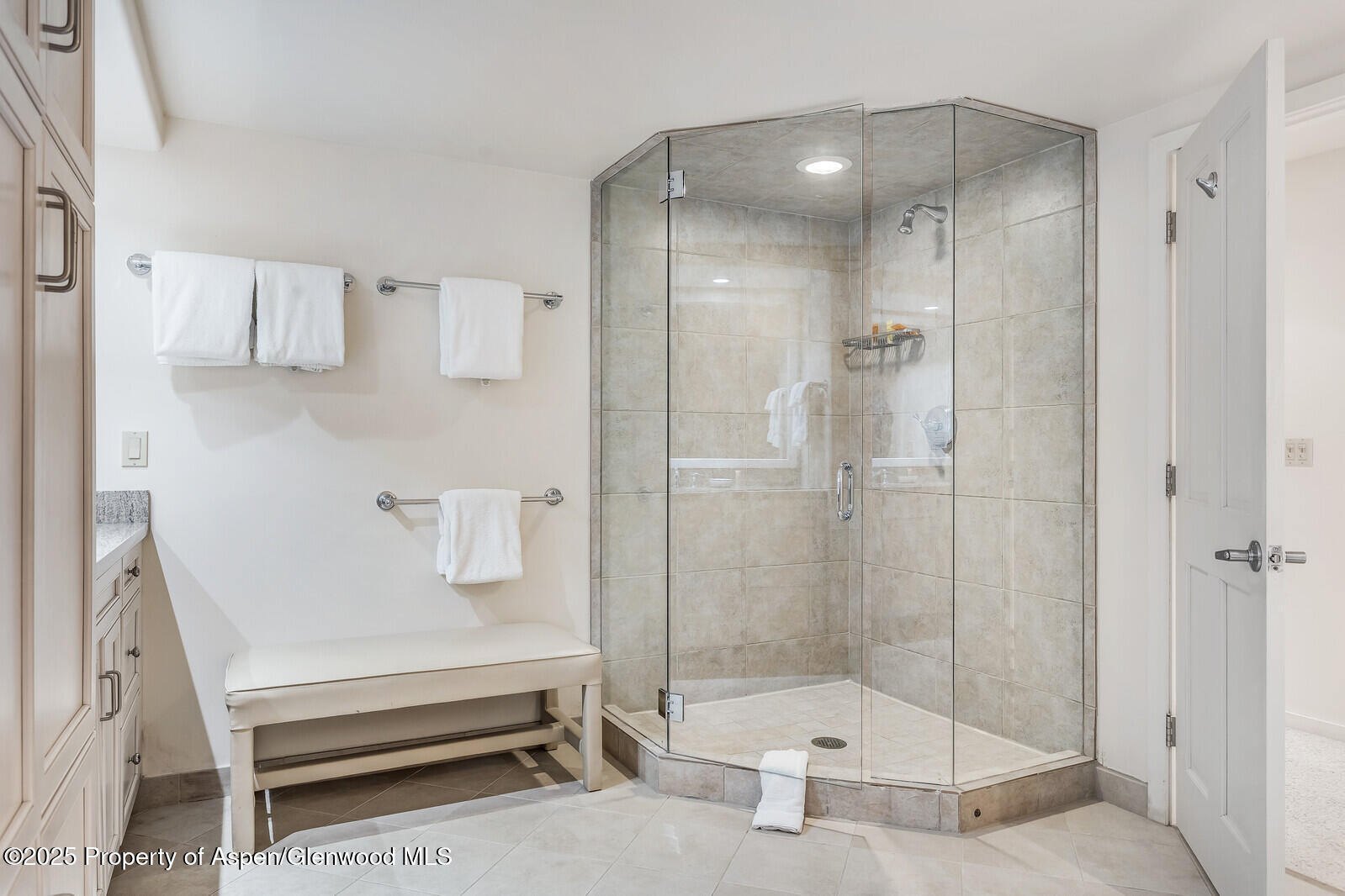 851 Ute Avenue Aspen CO 81611