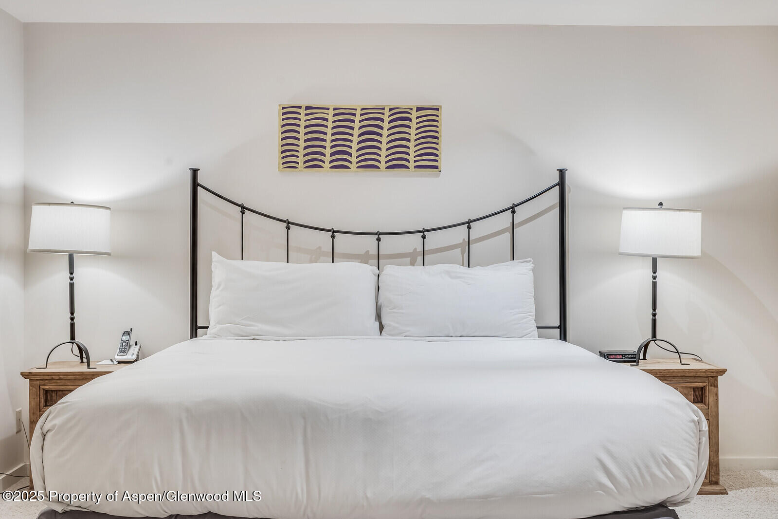 851 Ute Avenue Aspen CO 81611