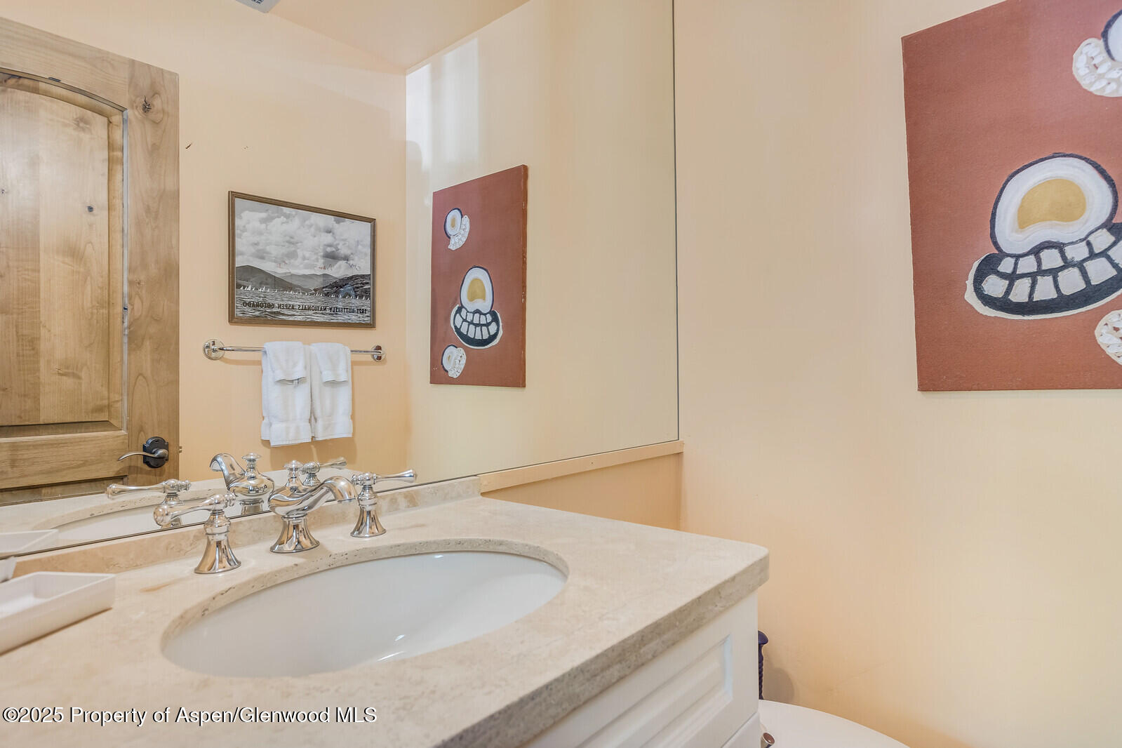 851 Ute Avenue Aspen CO 81611