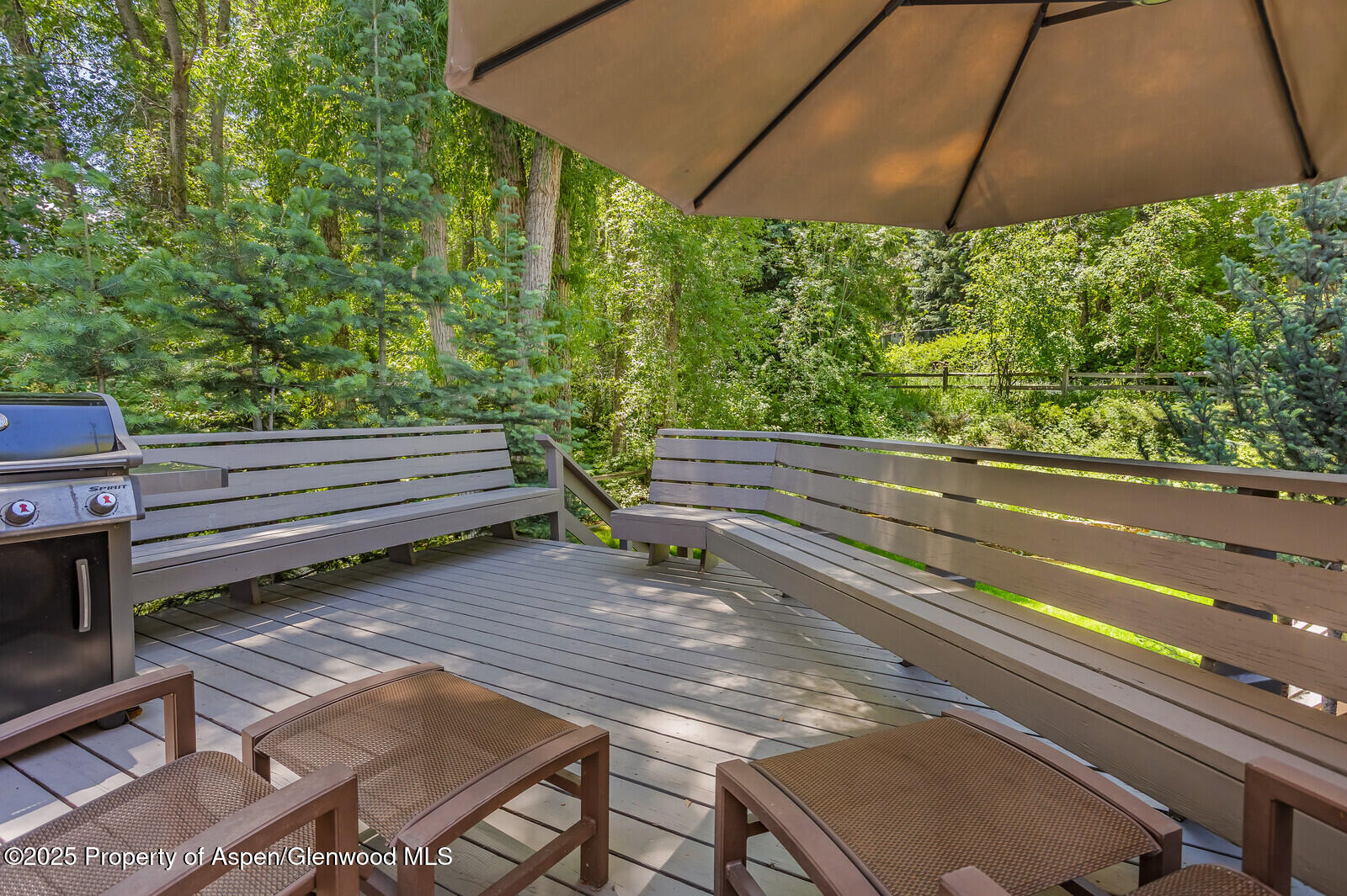 851 Ute Avenue Aspen CO 81611