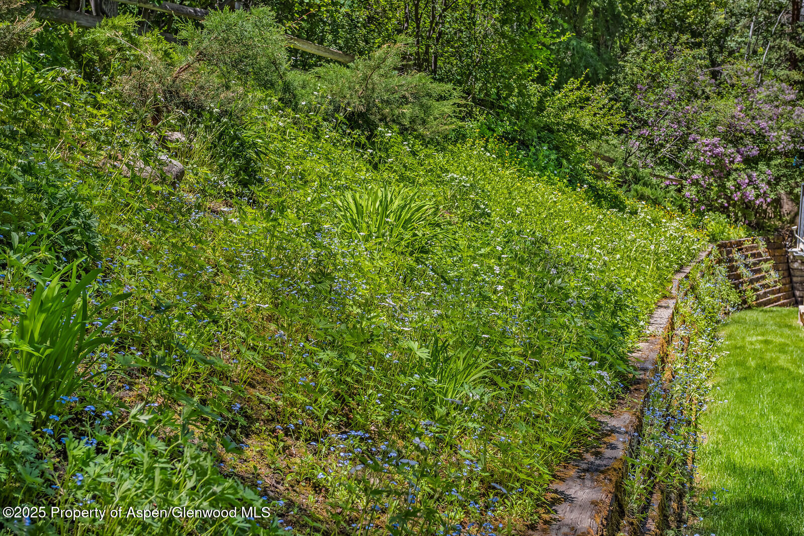 851 Ute Avenue Aspen CO 81611