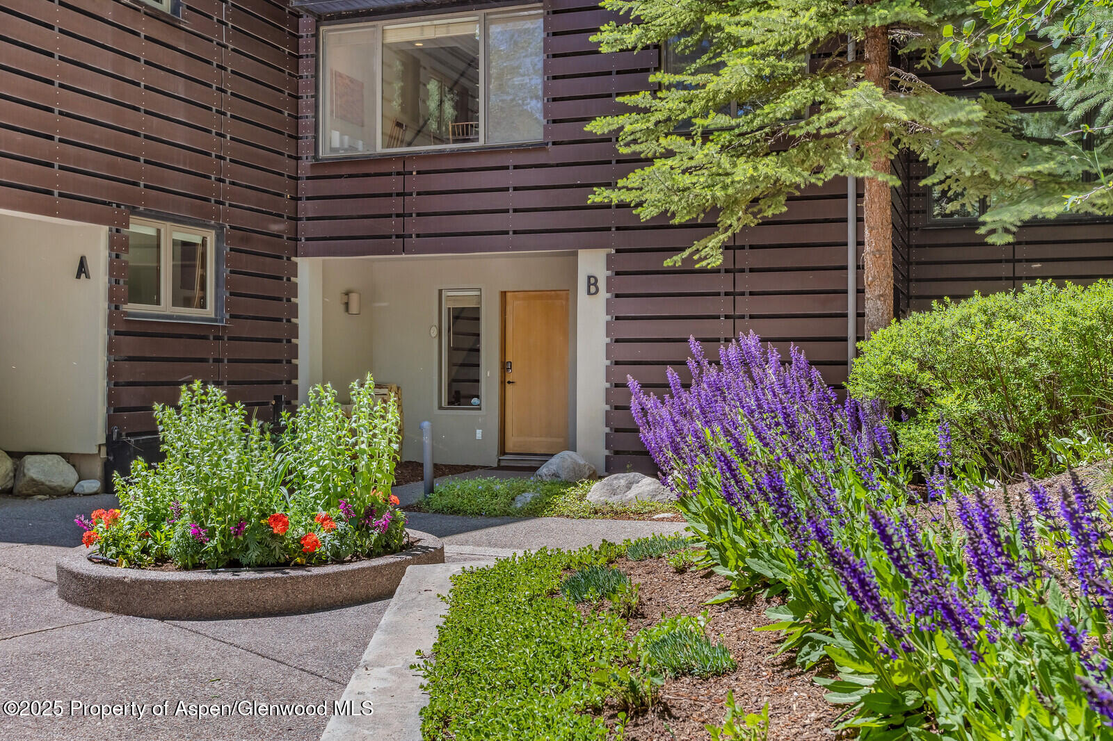 851 Ute Avenue Aspen CO 81611