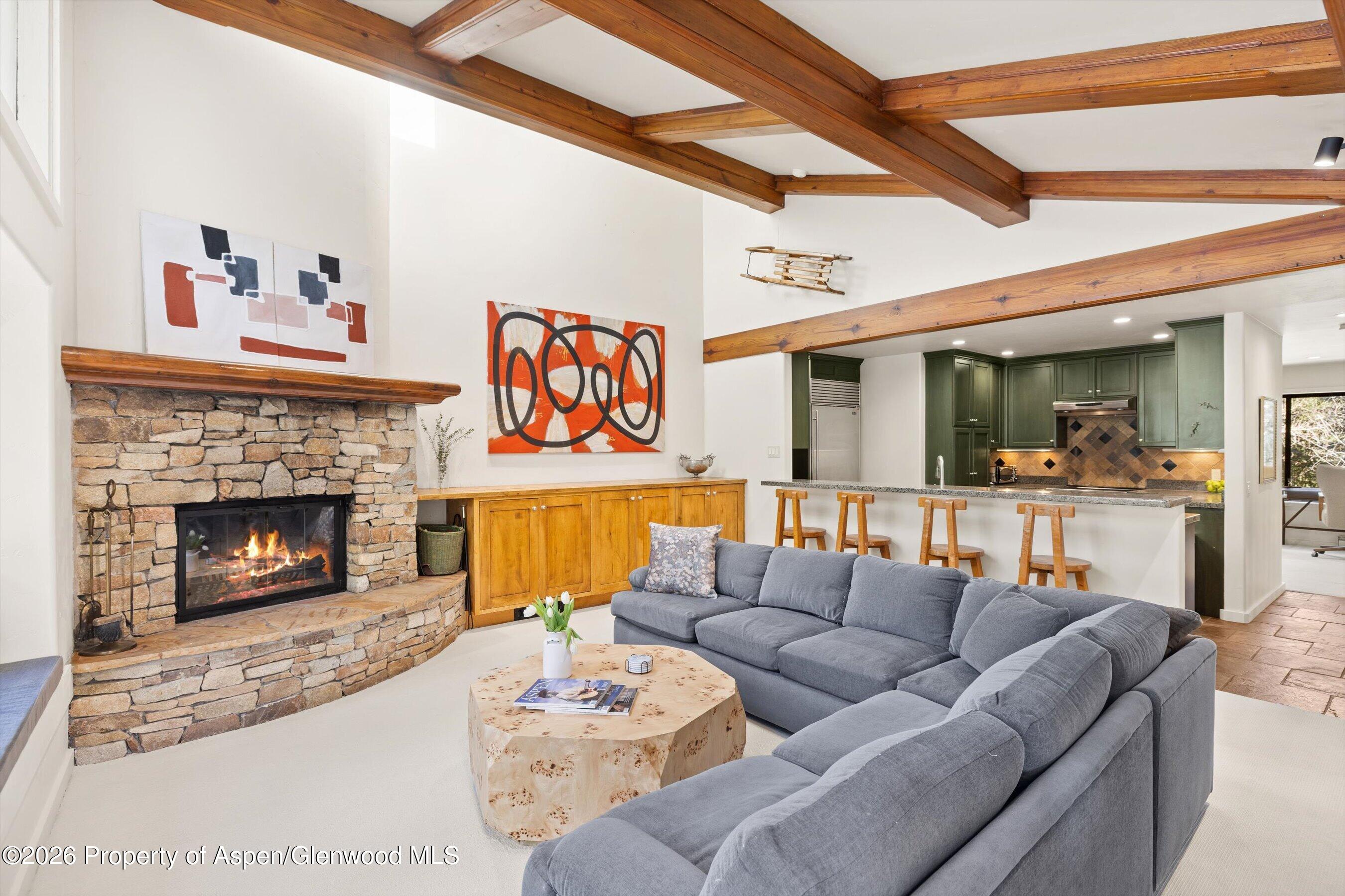 851 Ute Avenue Aspen CO 81611