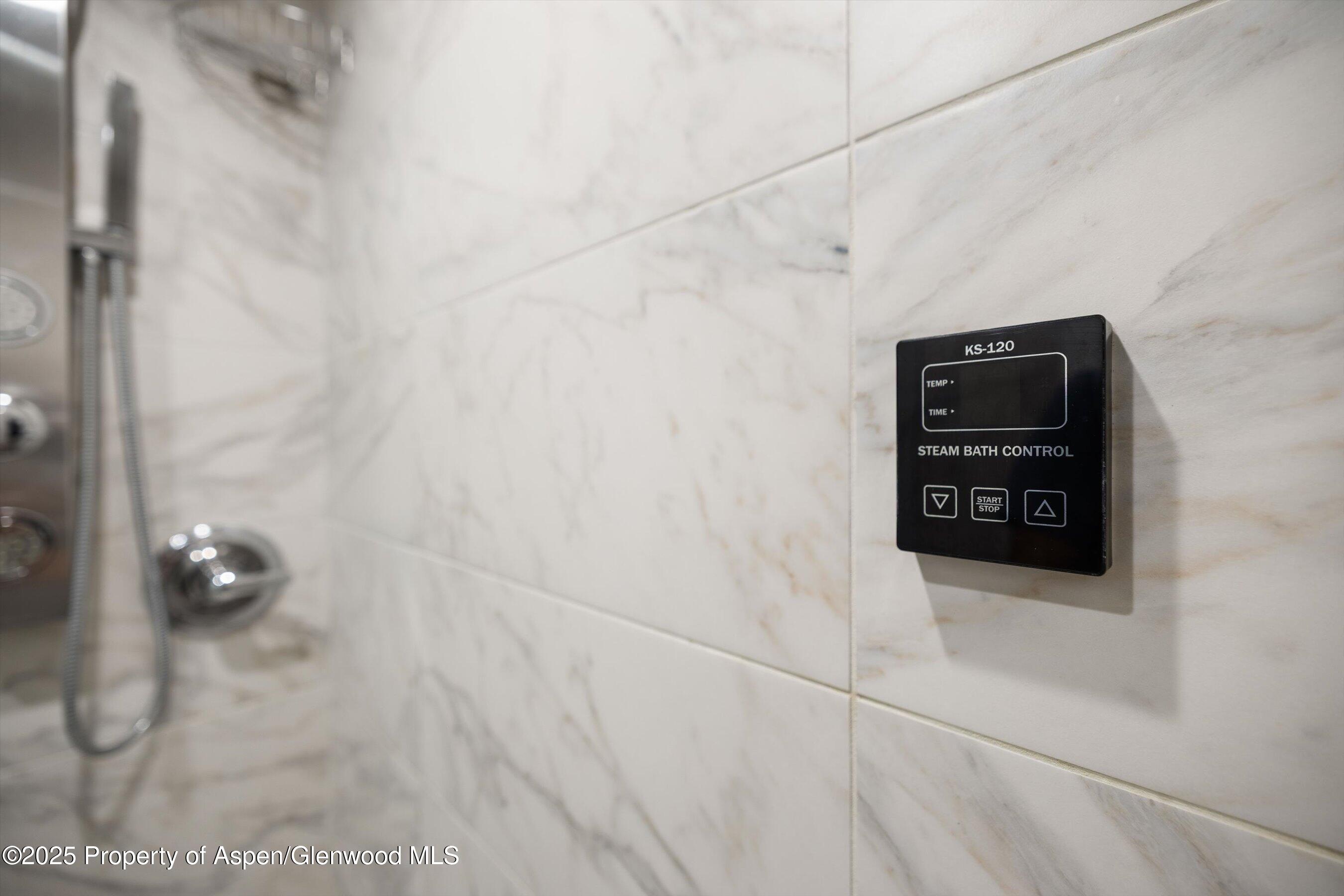 950 Vine Street Aspen CO 81611