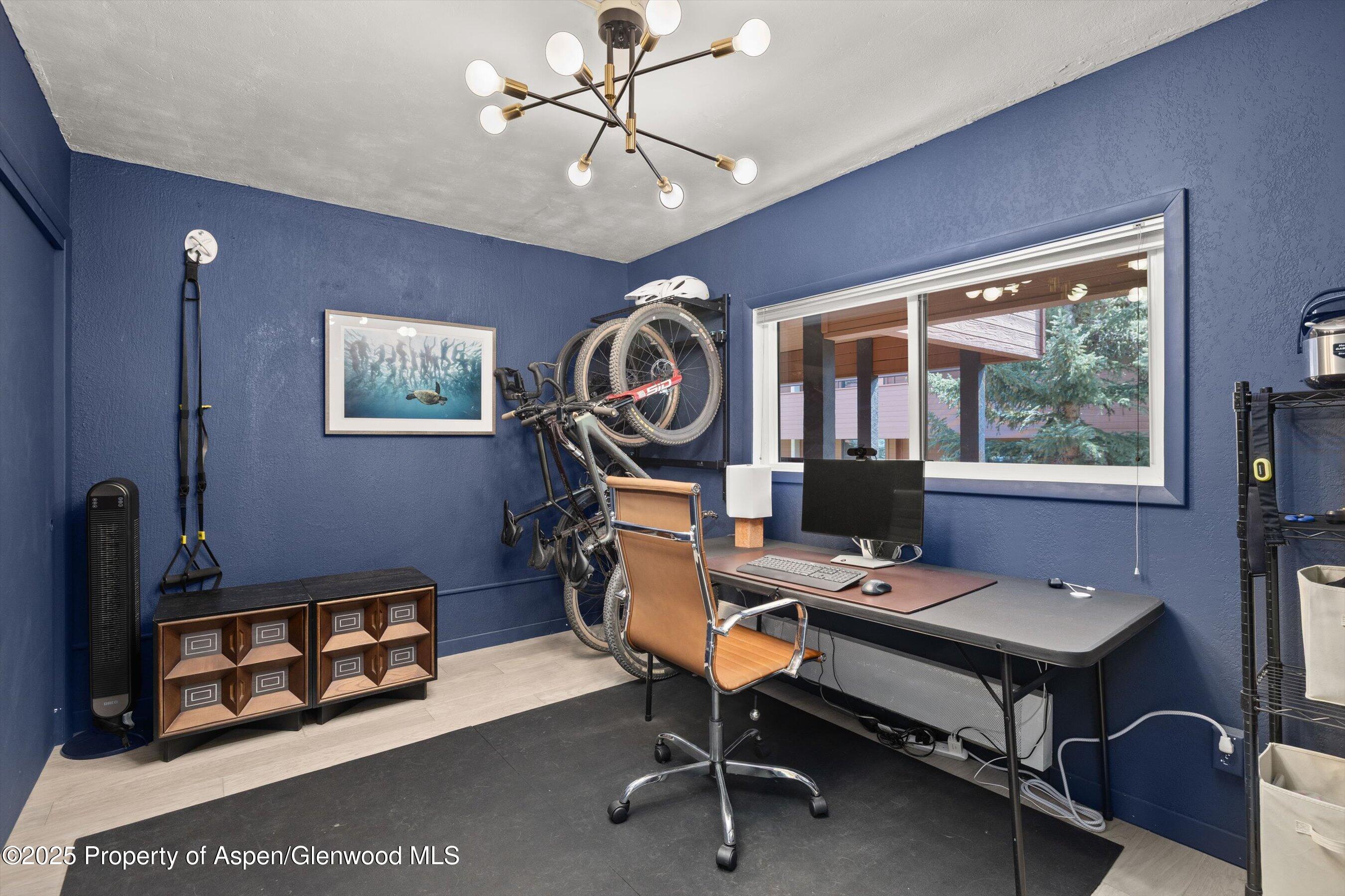 950 Vine Street Aspen CO 81611