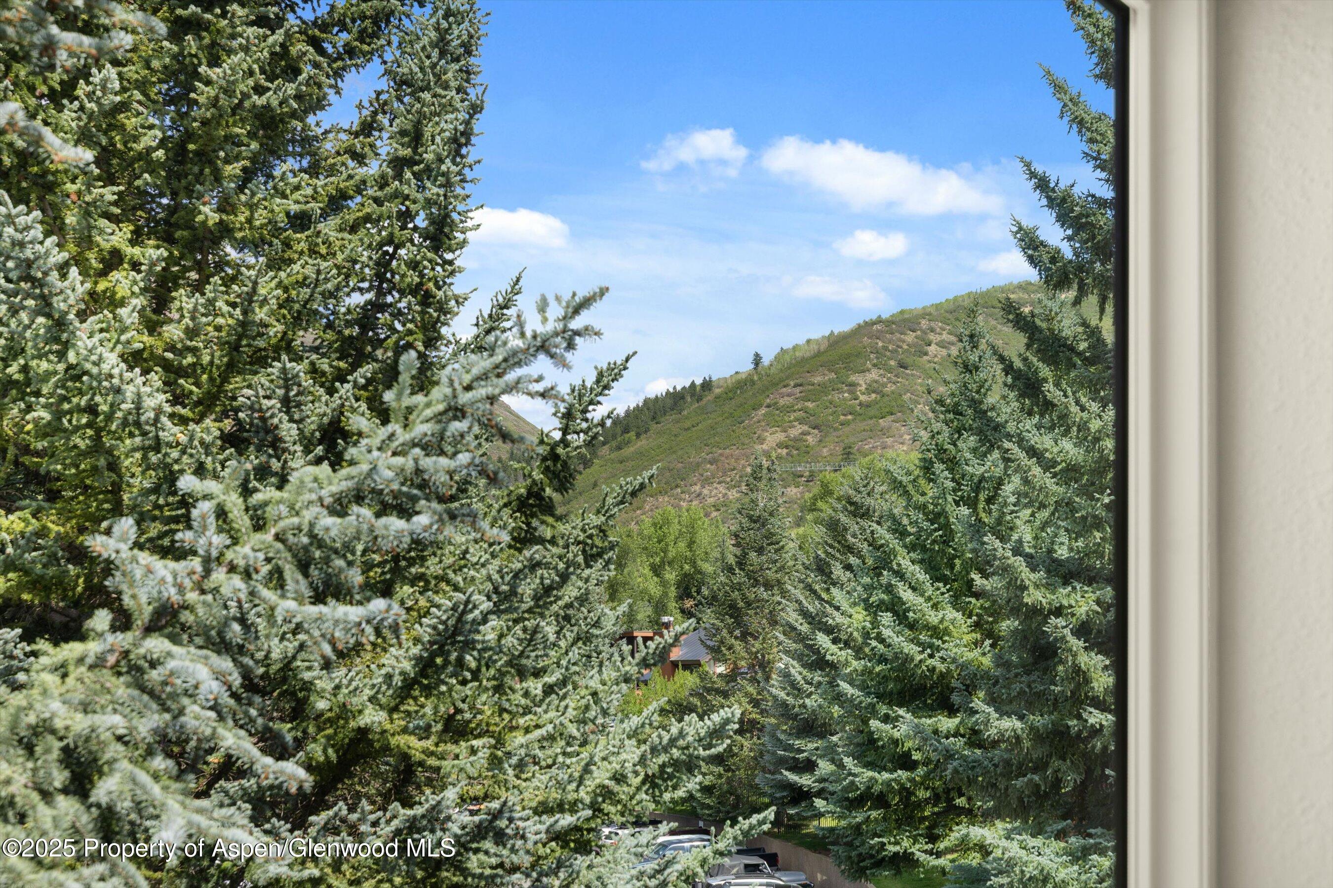 950 Vine Street Aspen CO 81611