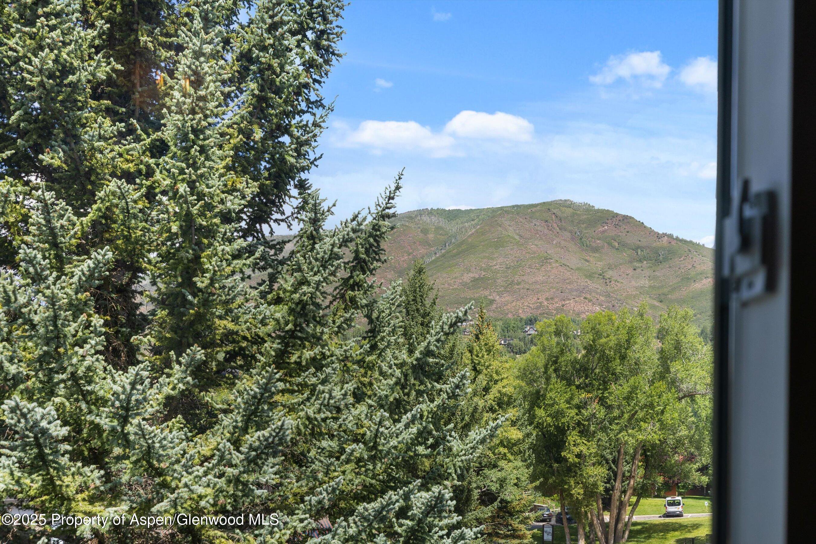 950 Vine Street Aspen CO 81611