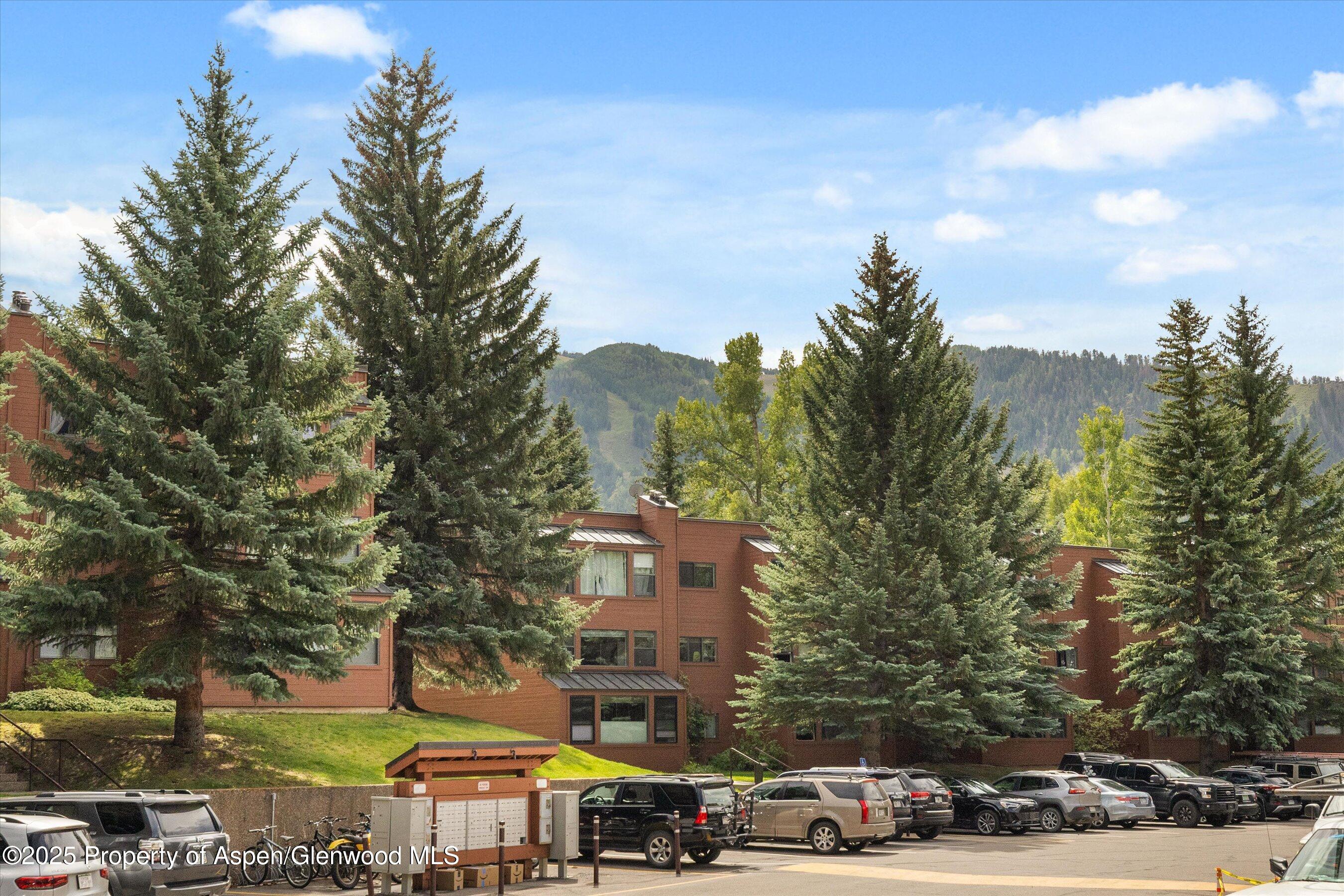 950 Vine Street Aspen CO 81611