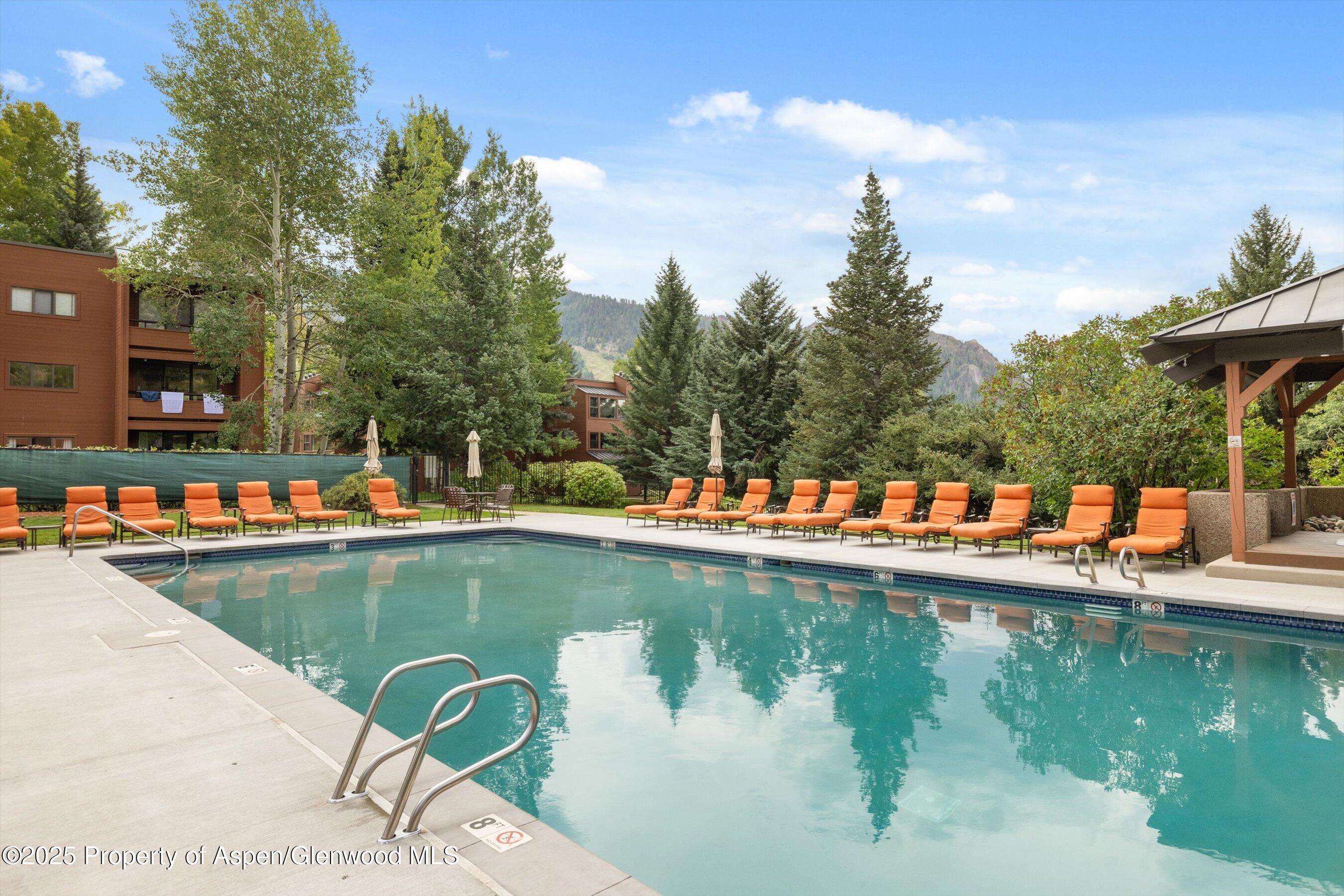 950 Vine Street Aspen CO 81611