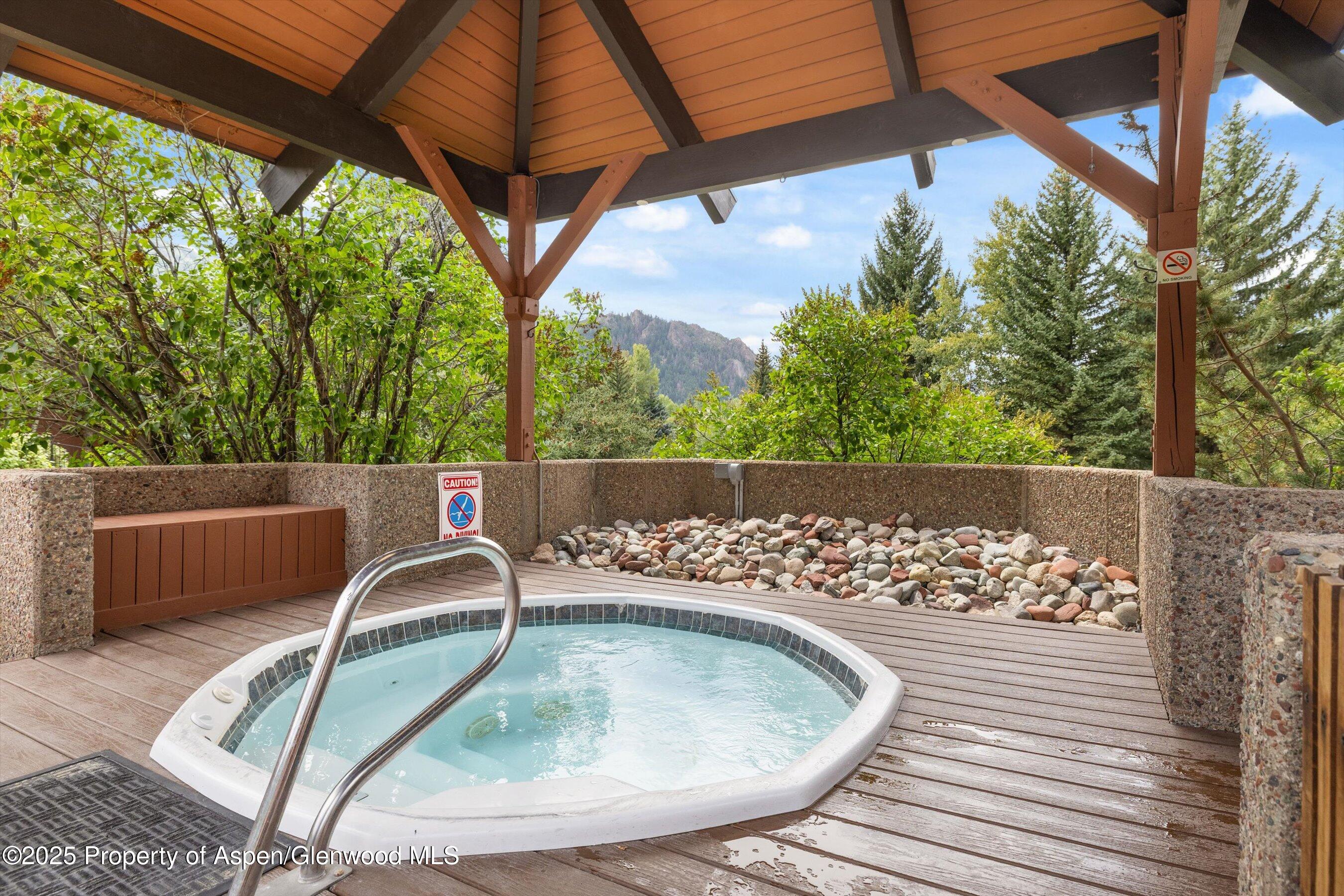 950 Vine Street Aspen CO 81611