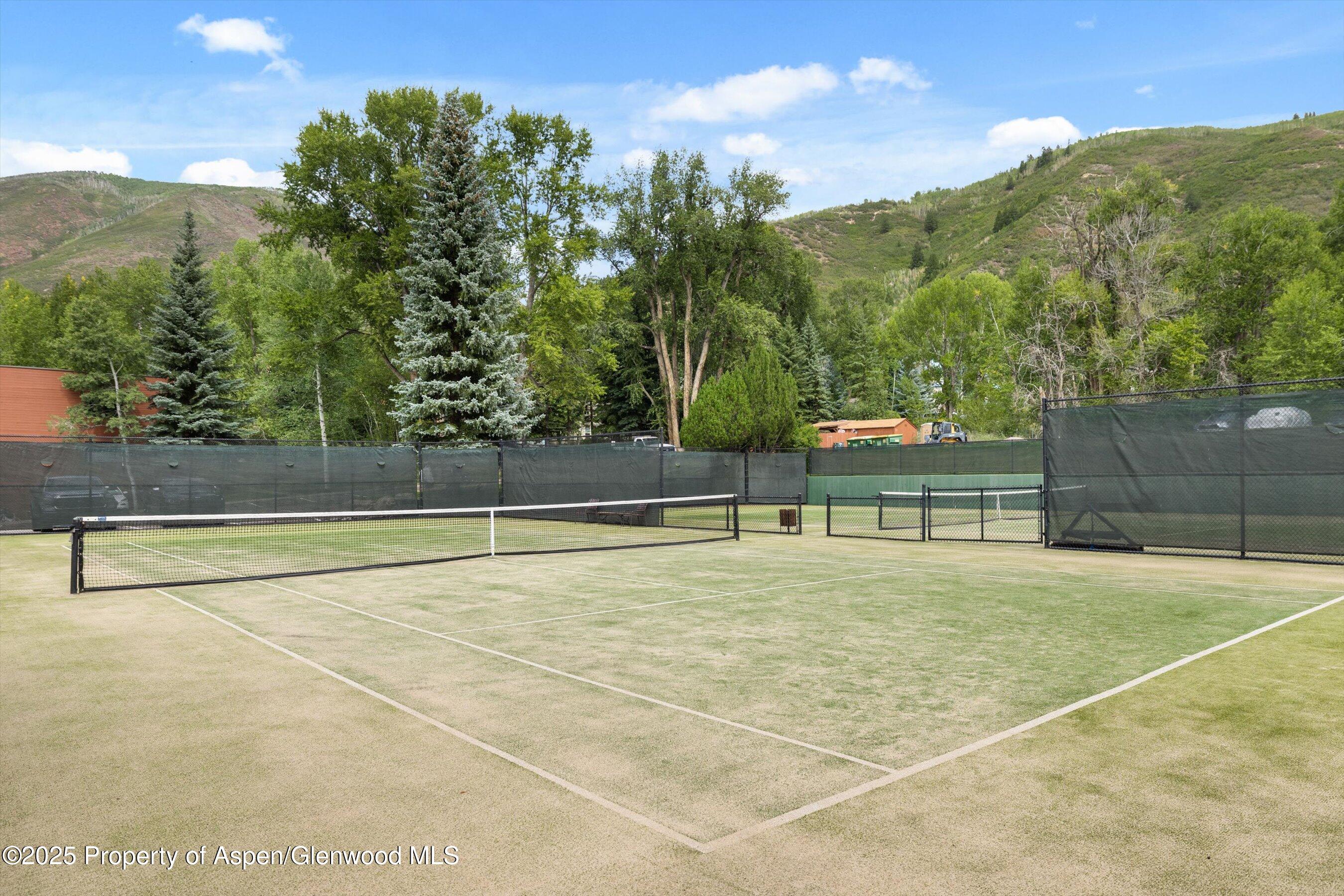 950 Vine Street Aspen CO 81611
