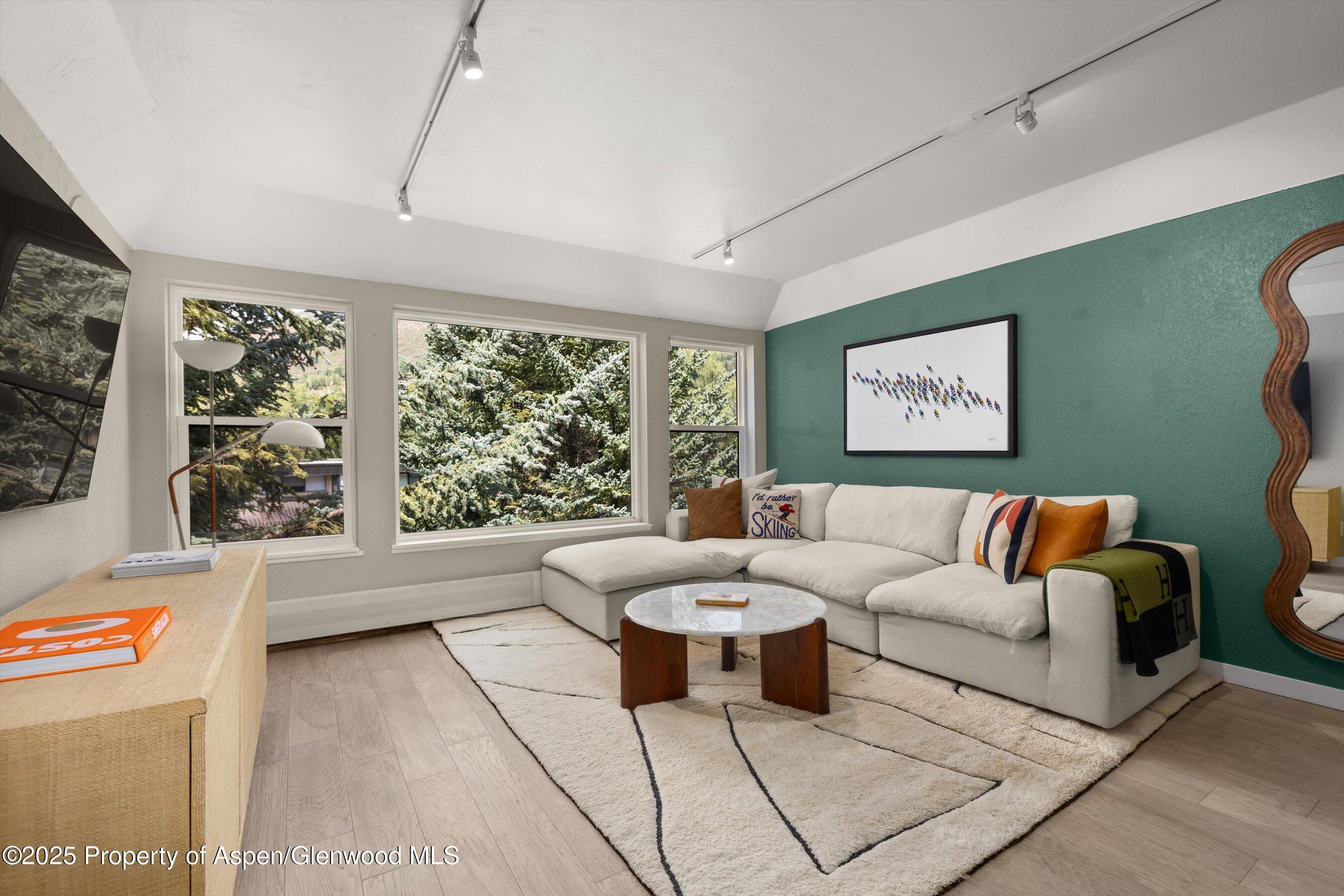 950 Vine Street Aspen CO 81611