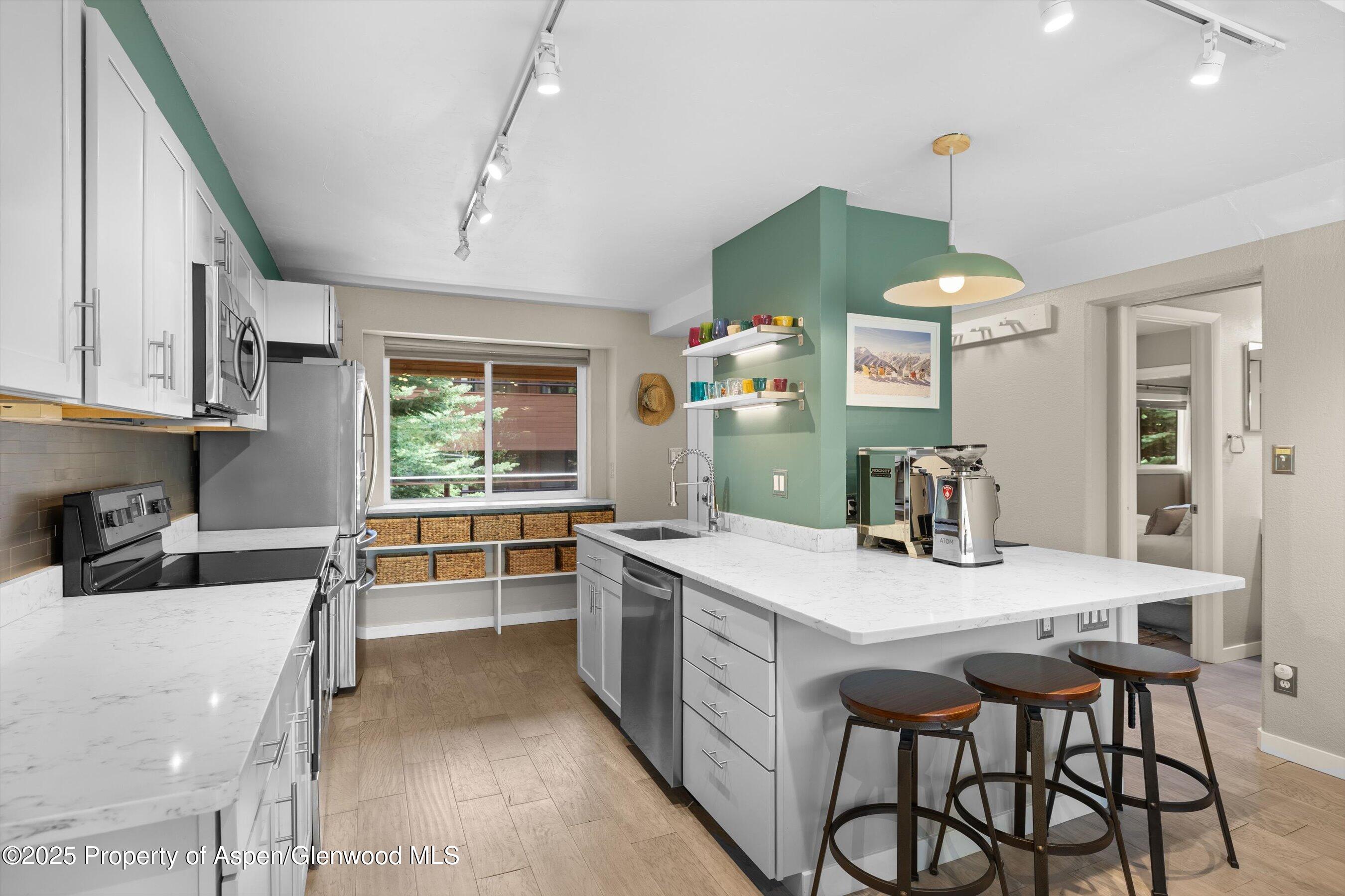 950 Vine Street Aspen CO 81611