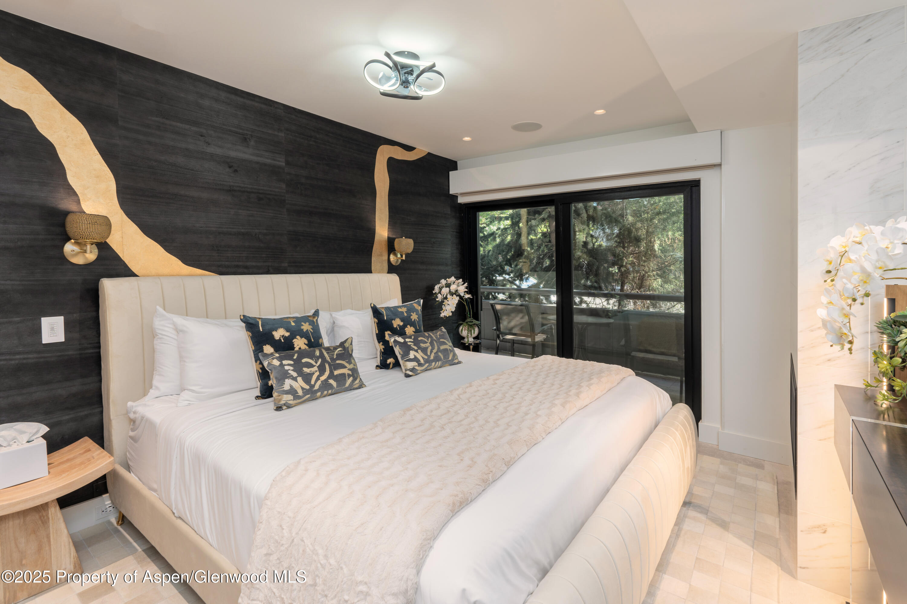 617 E Cooper Avenue Aspen CO 81611