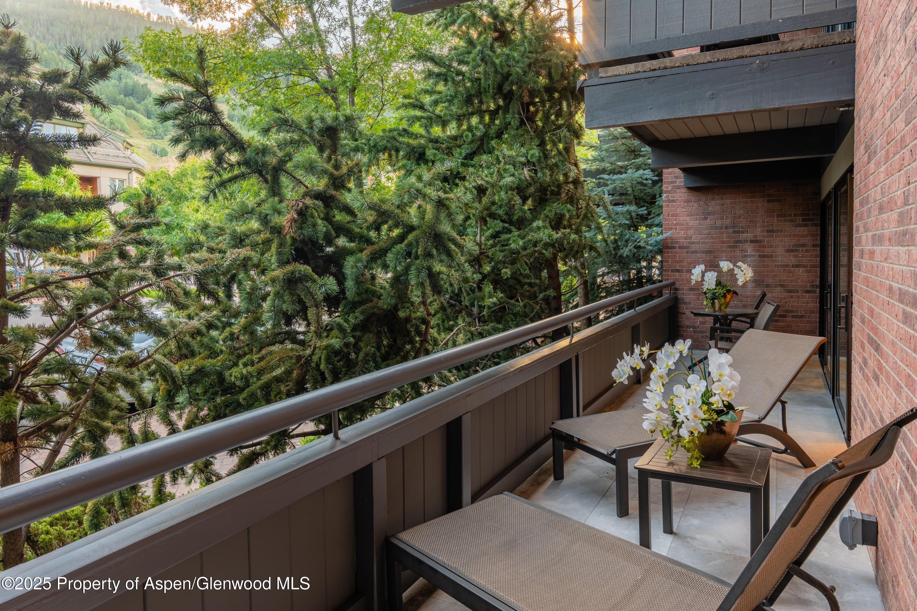 617 E Cooper Avenue Aspen CO 81611