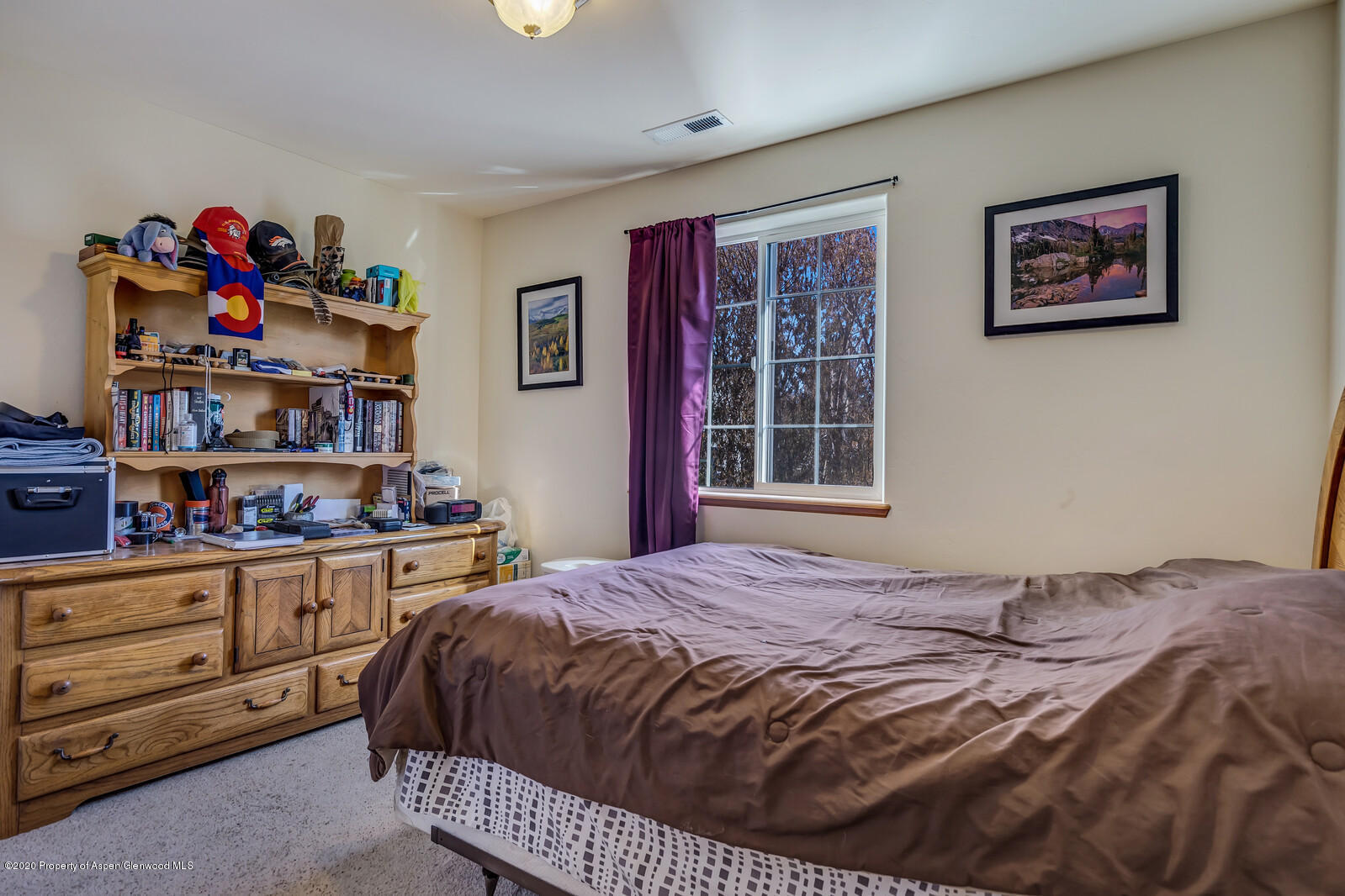 1438 Domelby Court Silt CO 81652