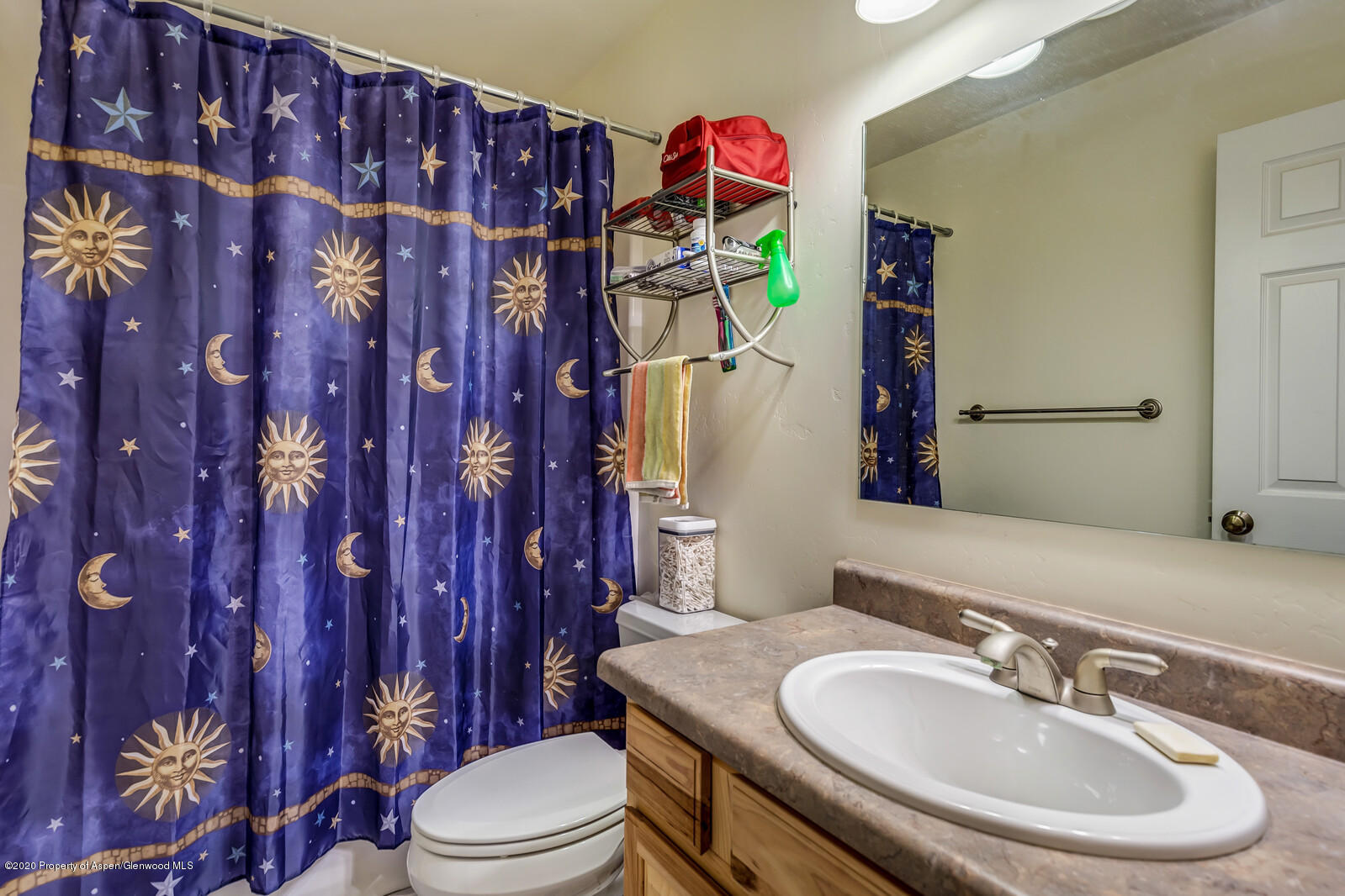 1438 Domelby Court Silt CO 81652