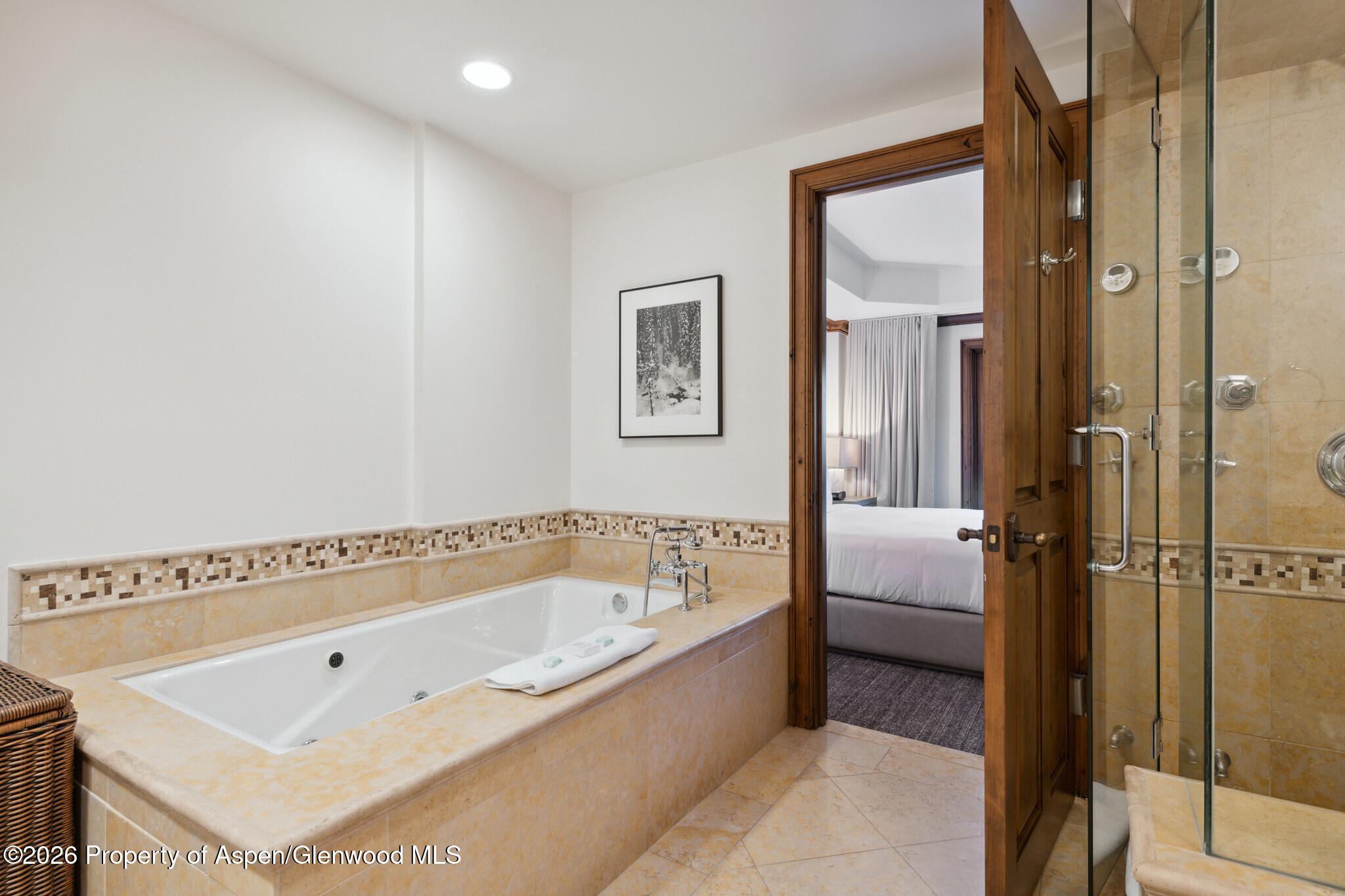 415 E Dean St, Unit 12, Week 28 Aspen CO 81611