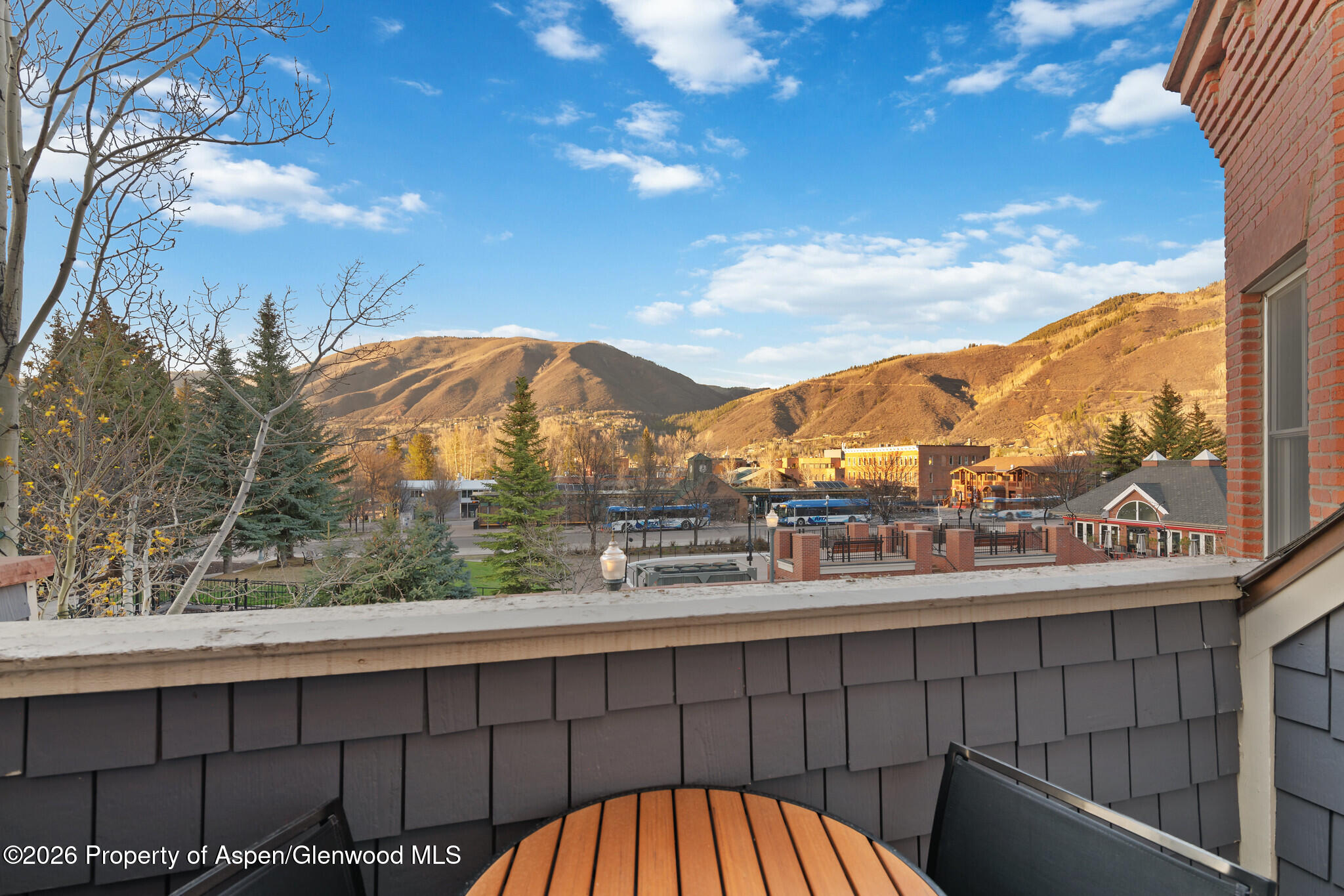 415 E Dean St, Unit 12, Week 28 Aspen CO 81611
