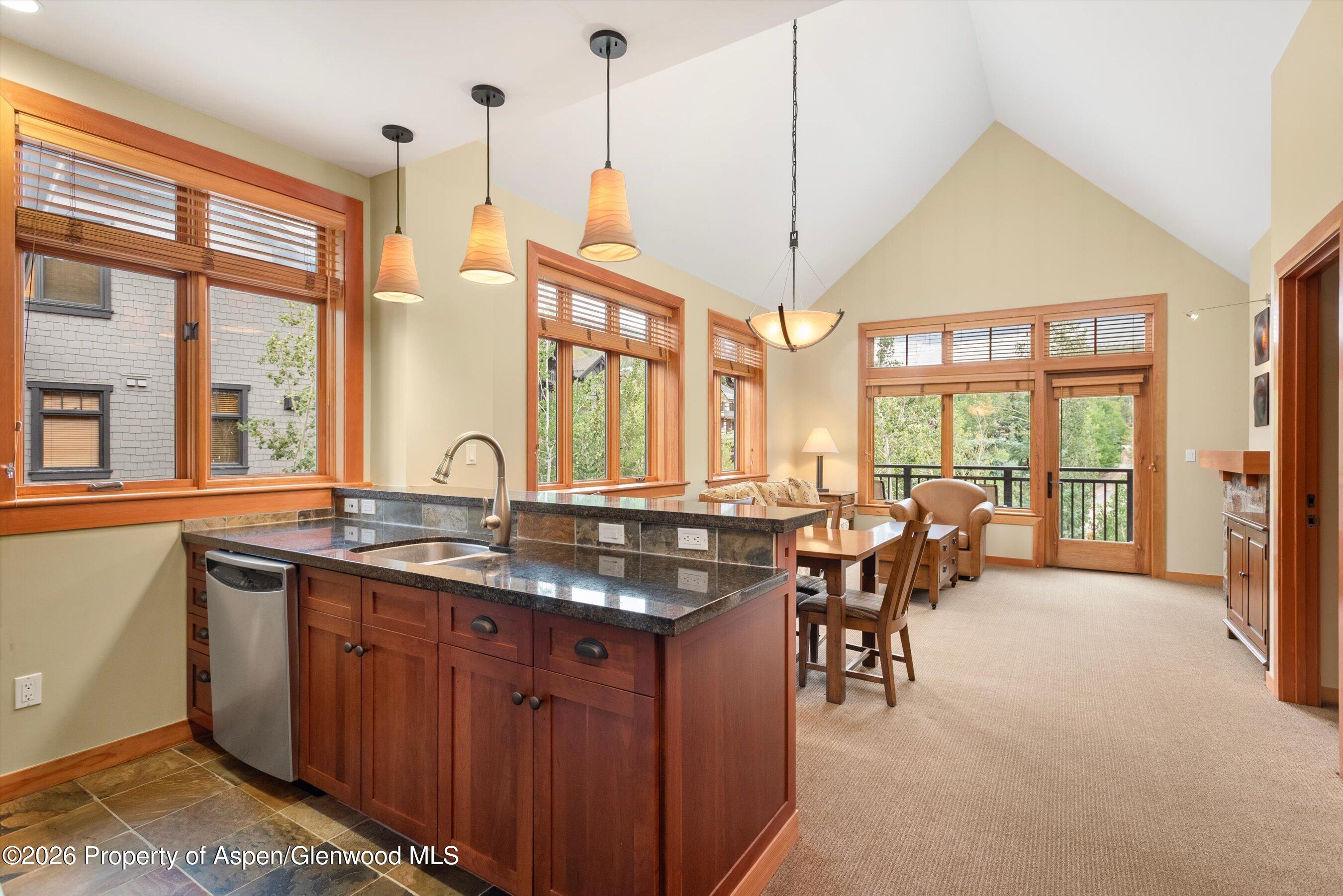 60 Carriage Way Snowmass Village CO 81615
