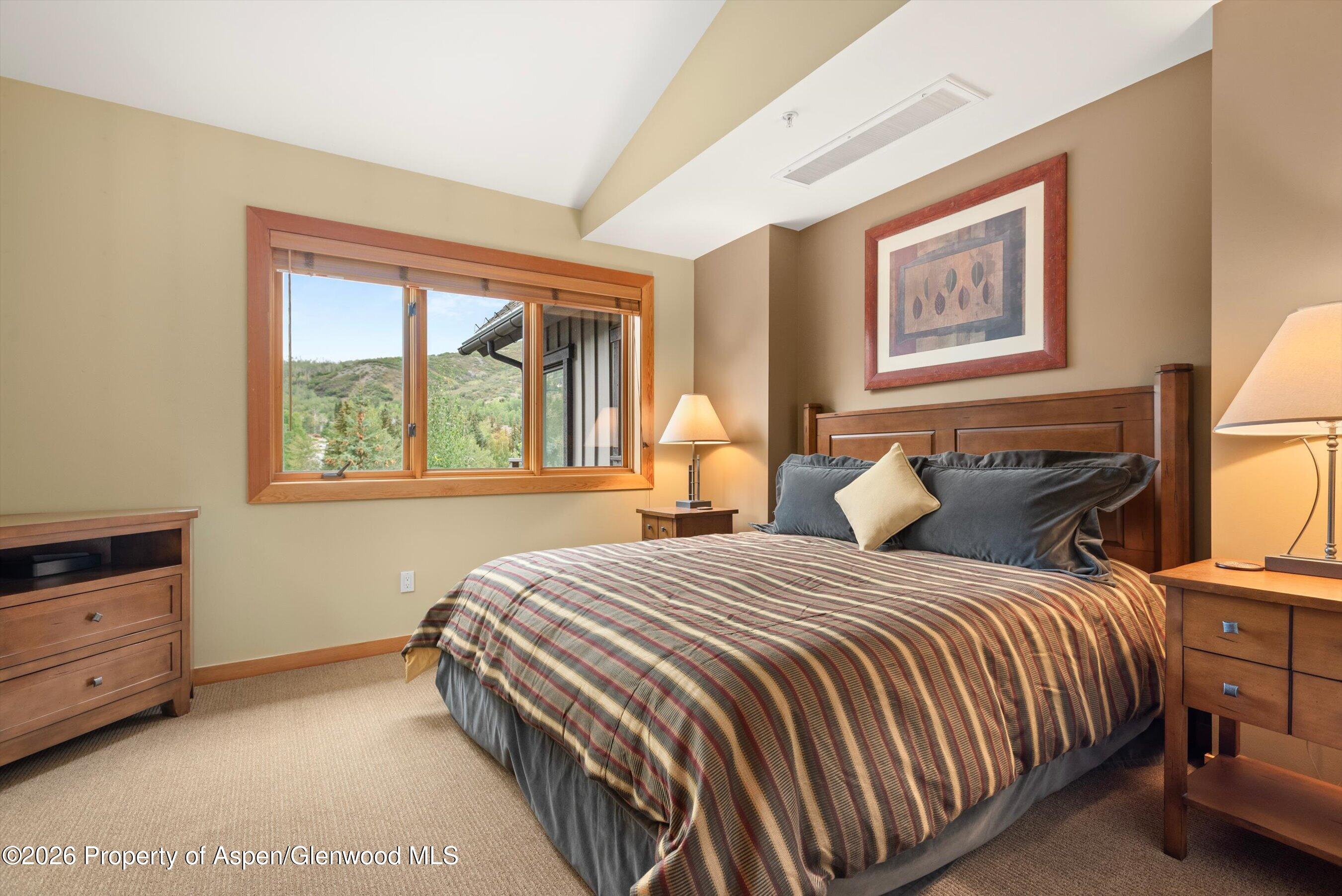 60 Carriage Way Snowmass Village CO 81615