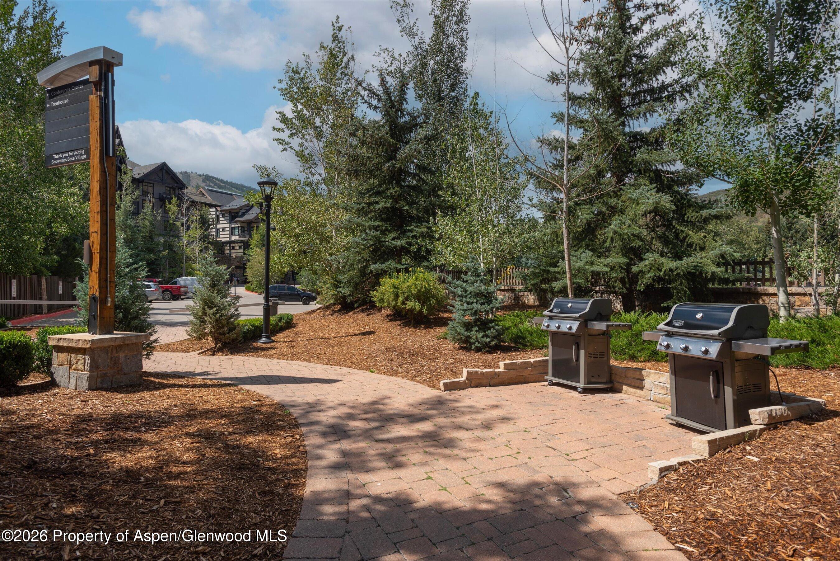 60 Carriage Way Snowmass Village CO 81615