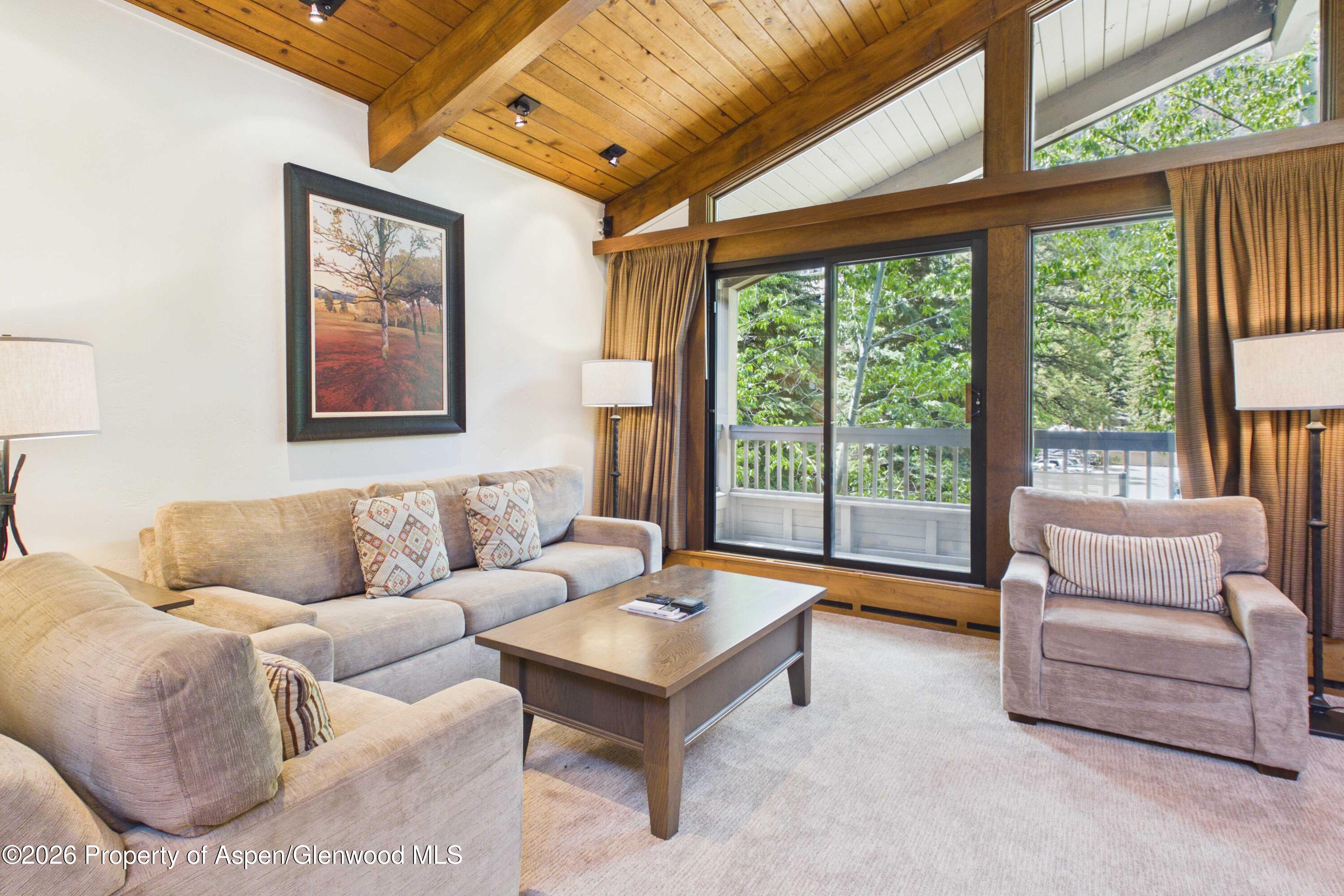 610 S West End Street Aspen CO 81611
