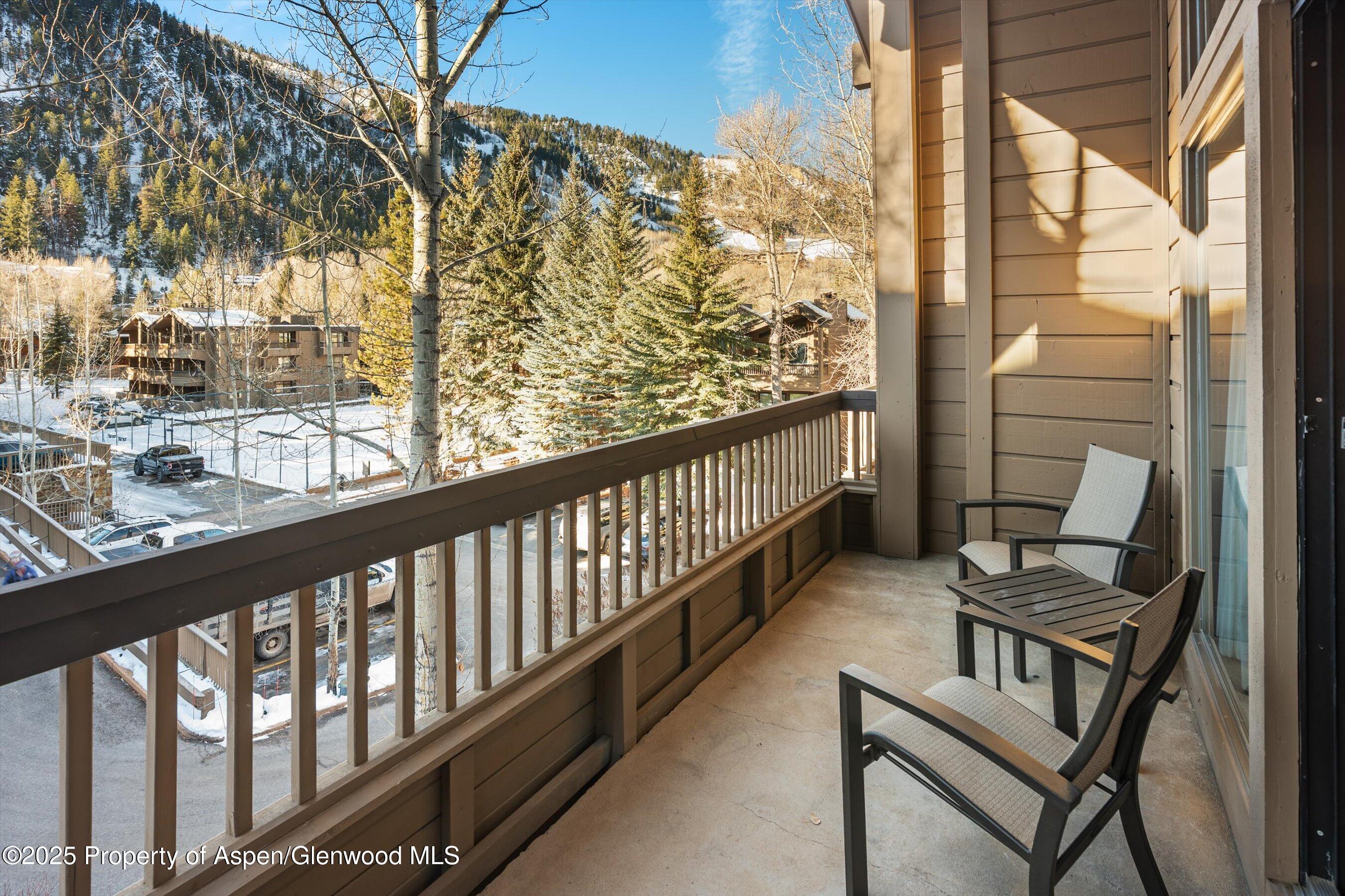 610 S West End Street Aspen CO 81611