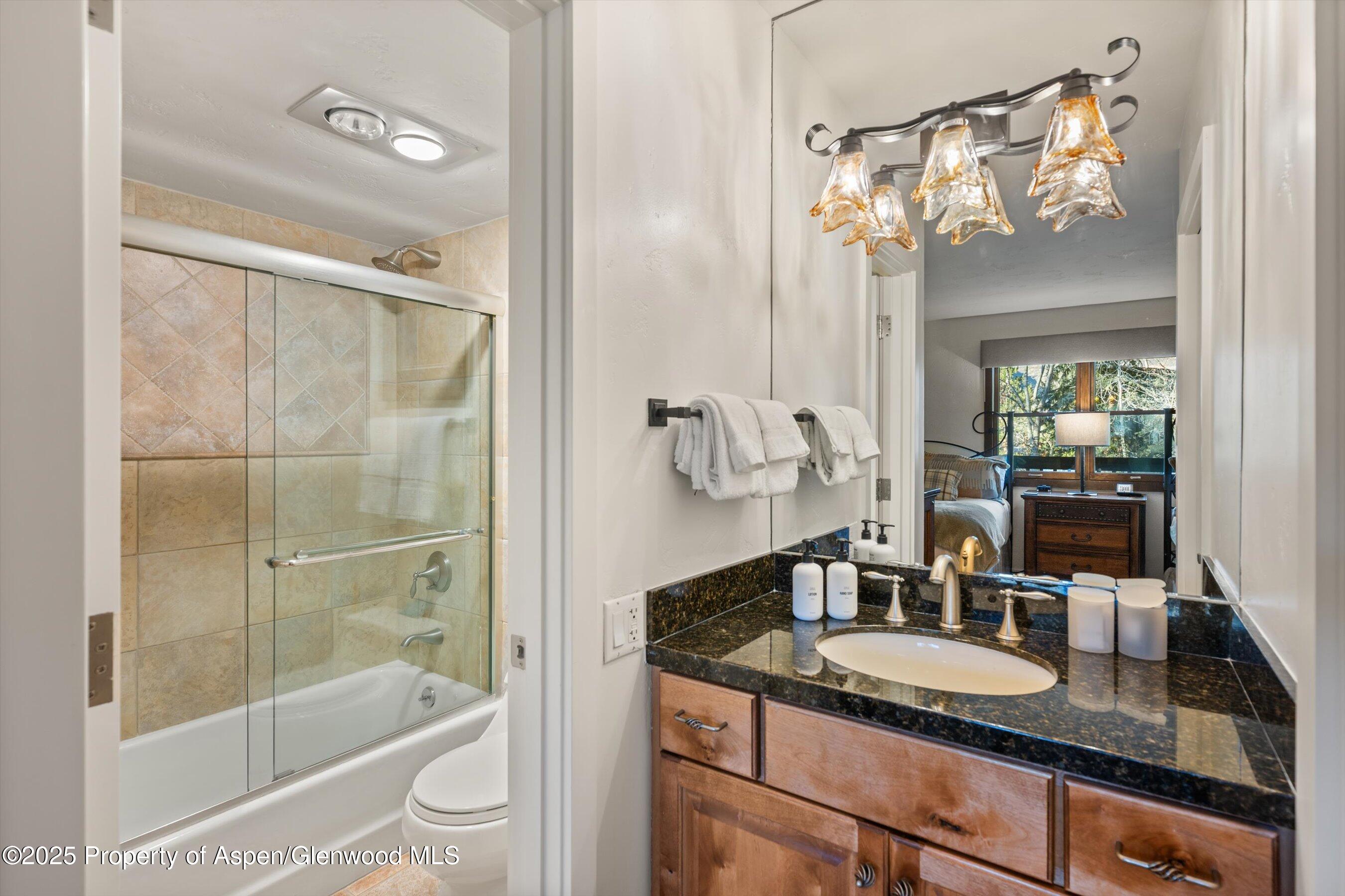 610 S West End Street Aspen CO 81611