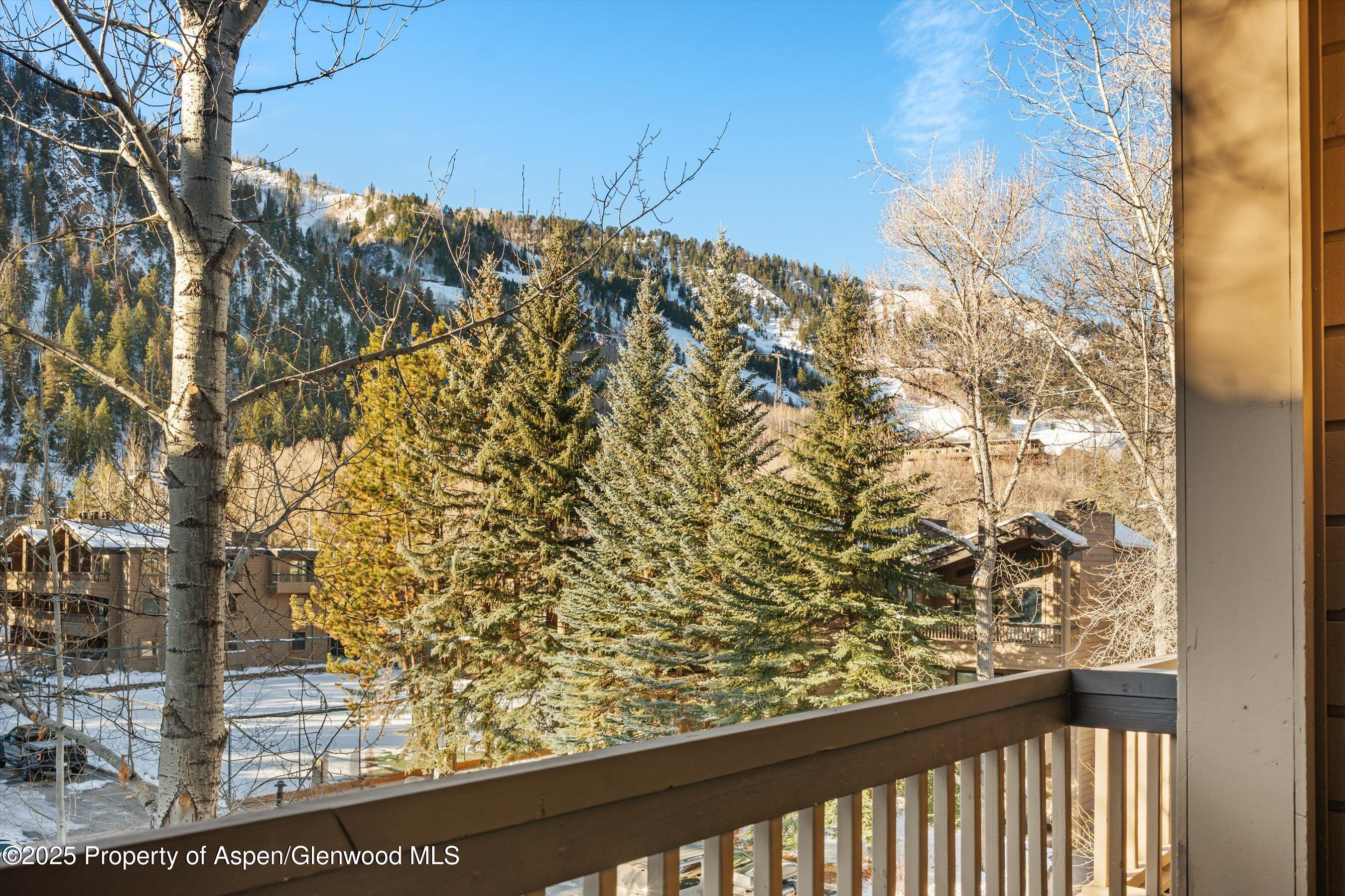 610 S West End Street Aspen CO 81611