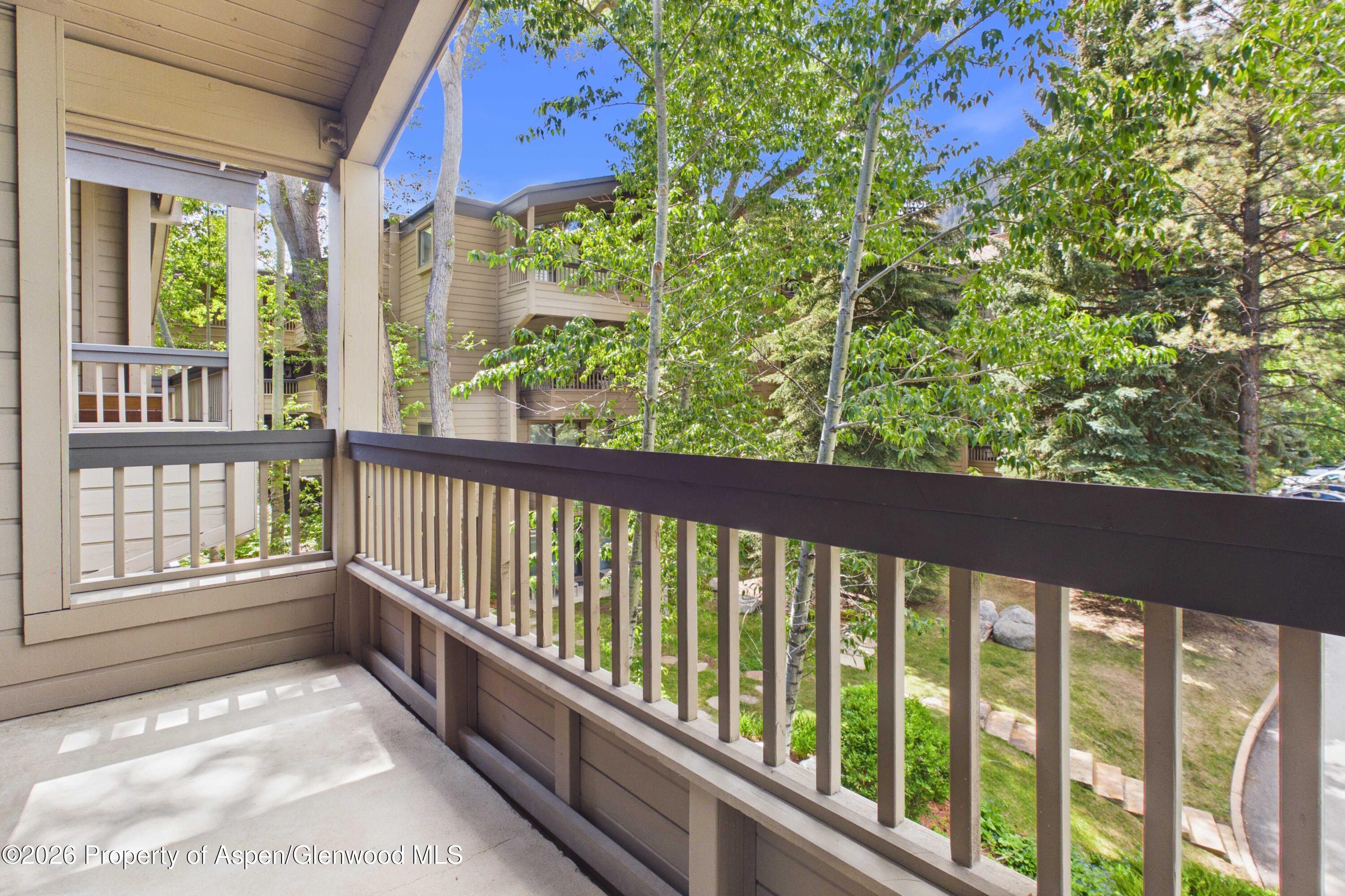 610 S West End Street Aspen CO 81611
