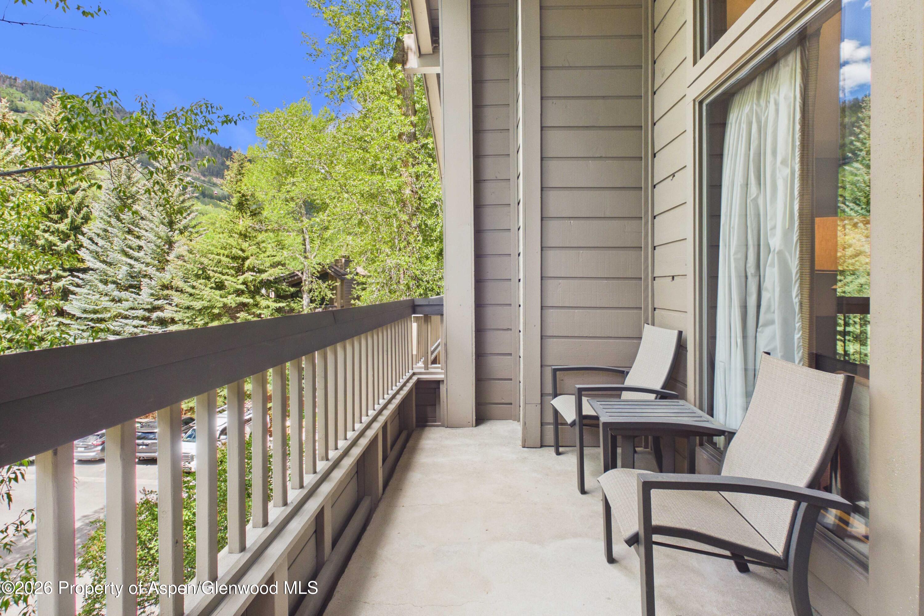 610 S West End Street Aspen CO 81611