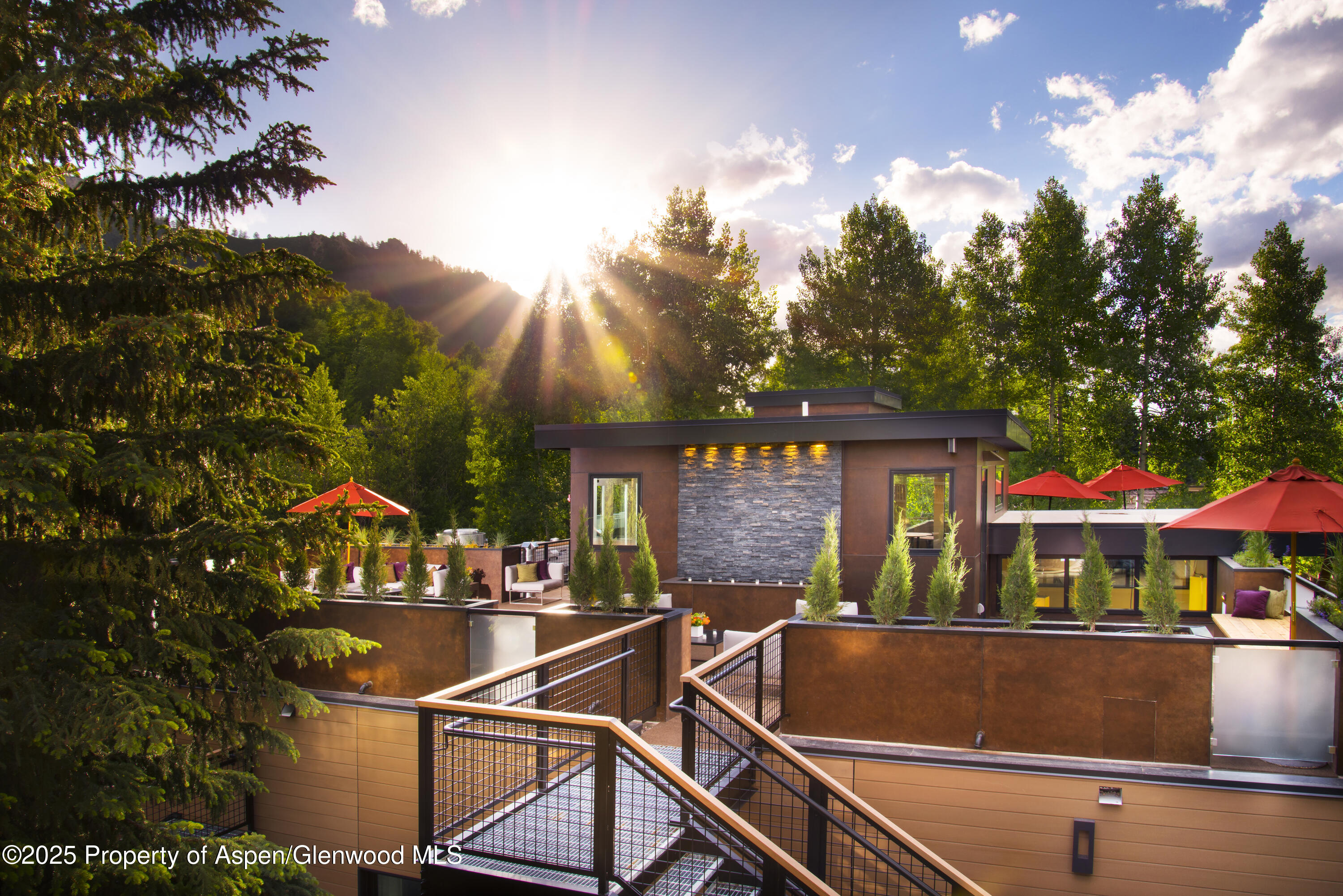 610 S West End Street Aspen CO 81611