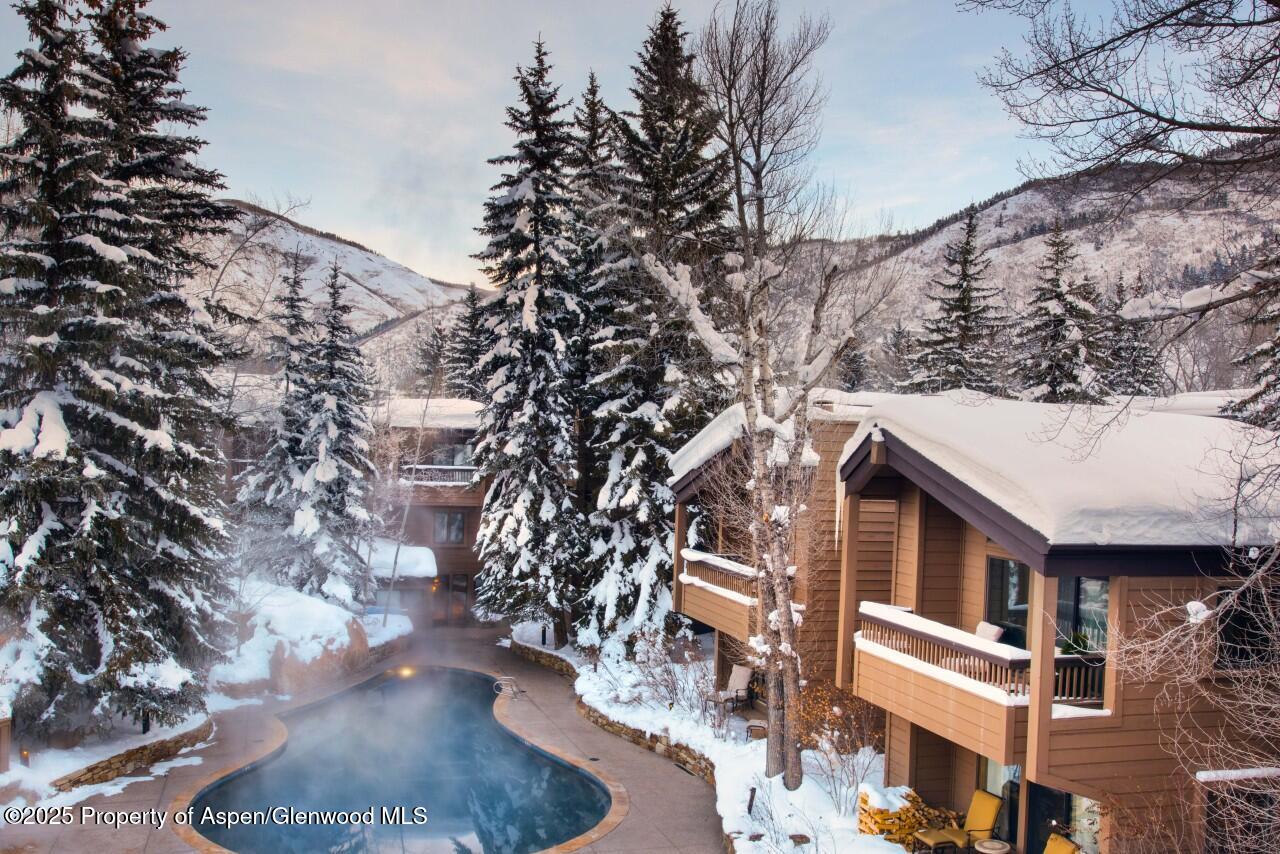610 S West End Street Aspen CO 81611