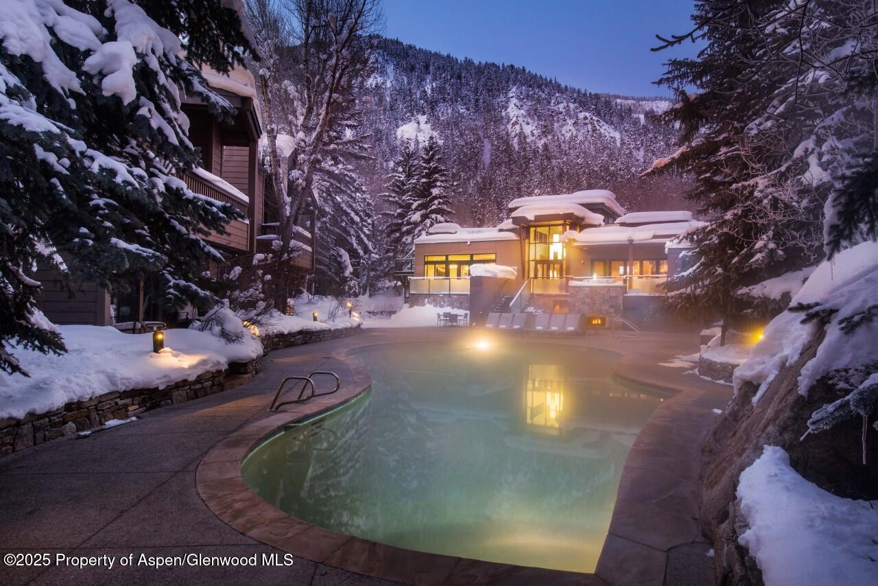 610 S West End Street Aspen CO 81611