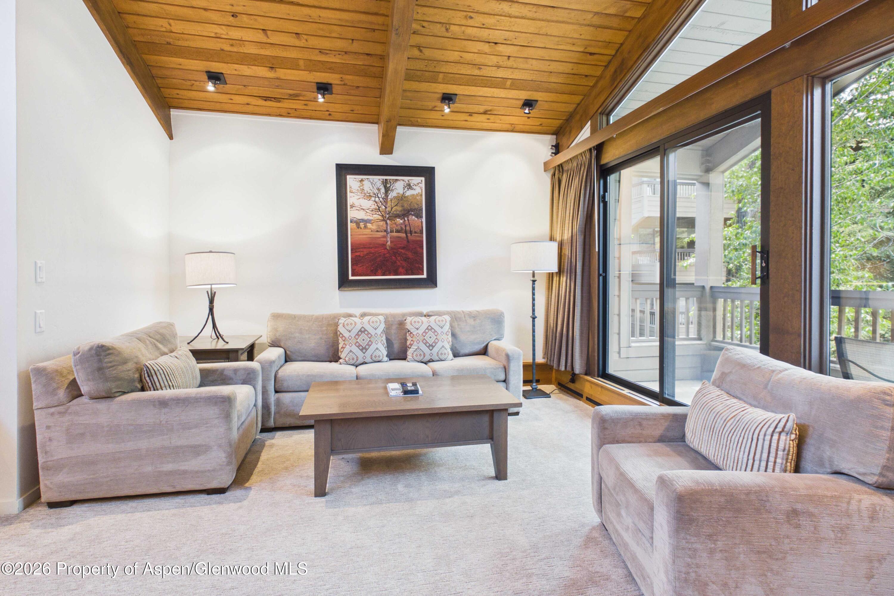 610 S West End Street Aspen CO 81611