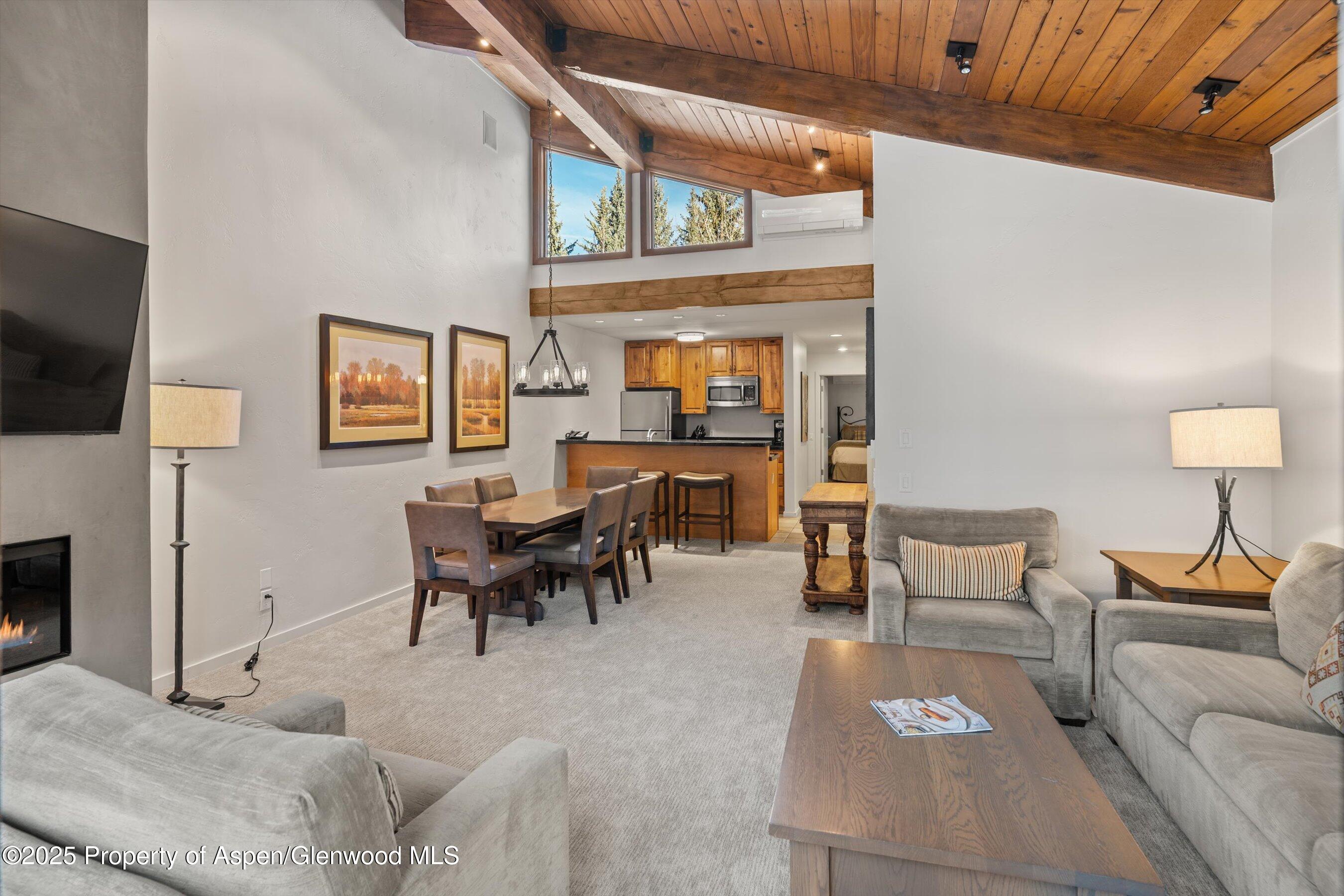 610 S West End Street Aspen CO 81611