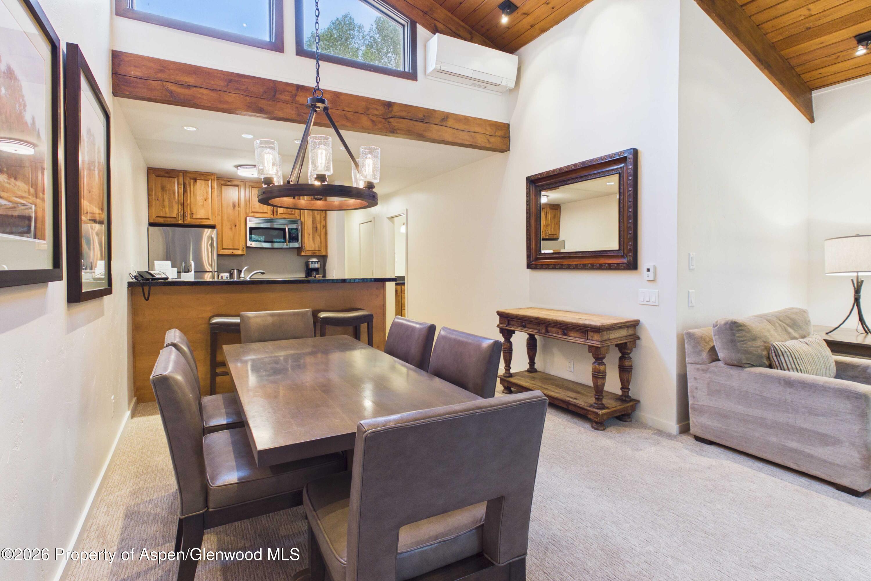 610 S West End Street Aspen CO 81611