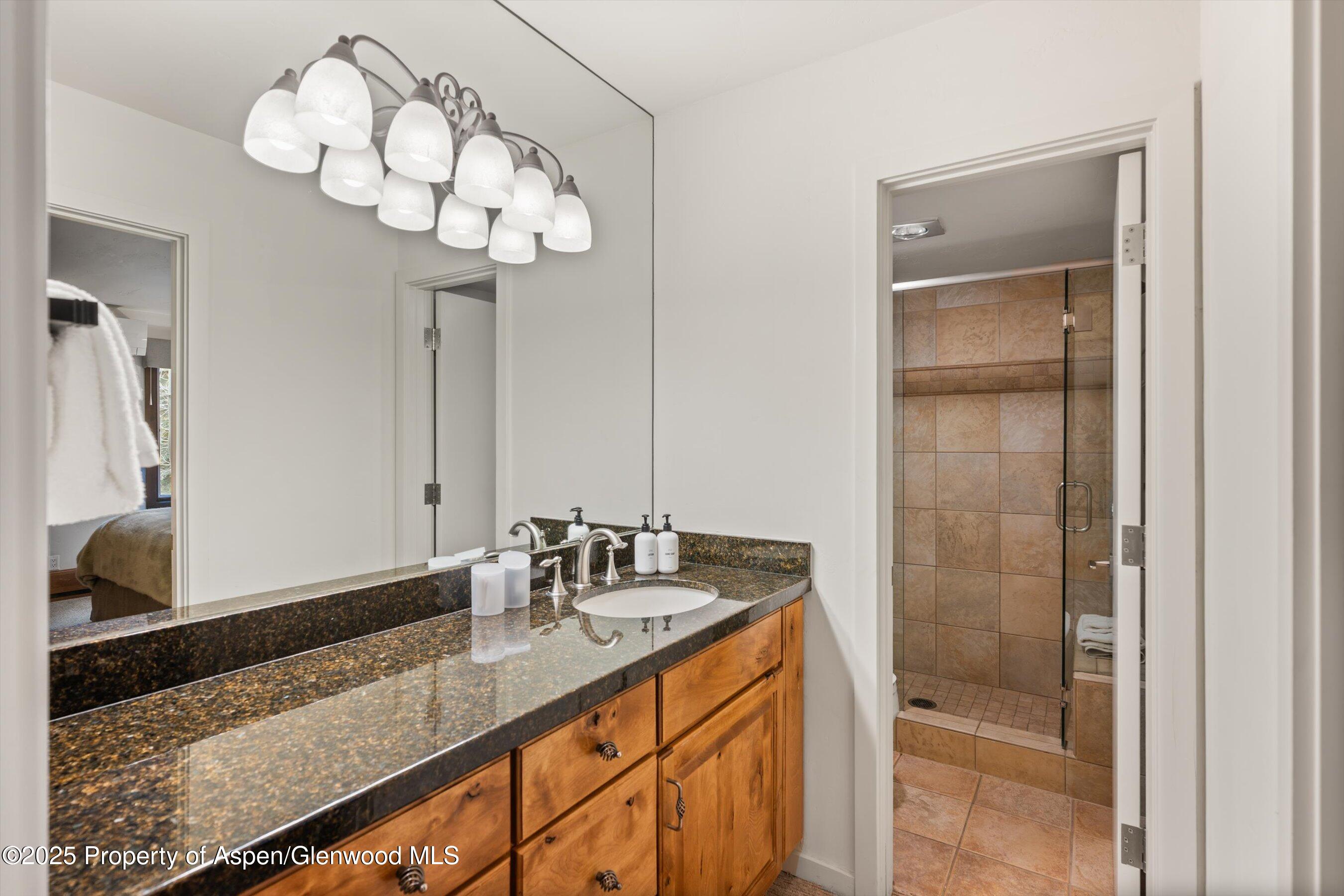 610 S West End Street Aspen CO 81611