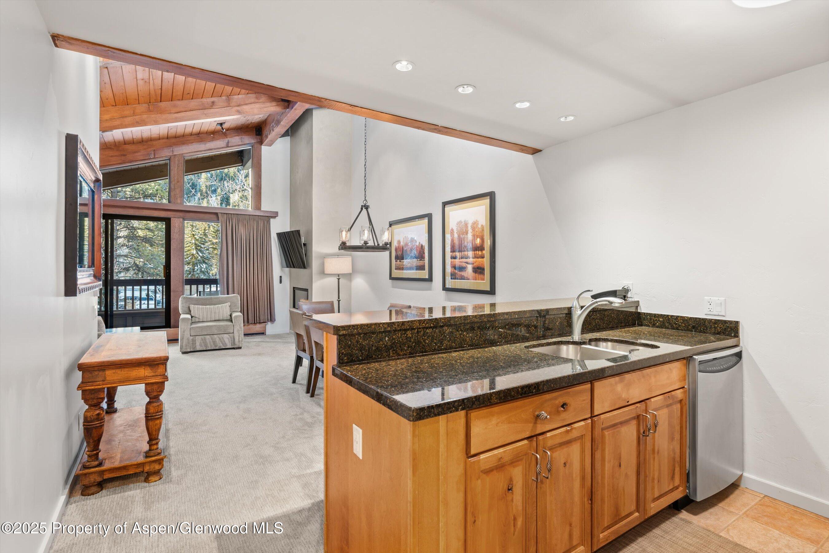 610 S West End Street Aspen CO 81611