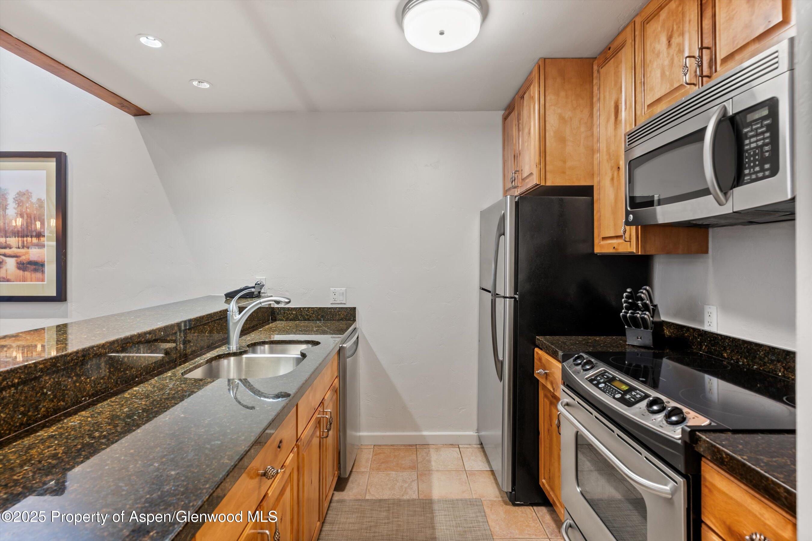610 S West End Street Aspen CO 81611