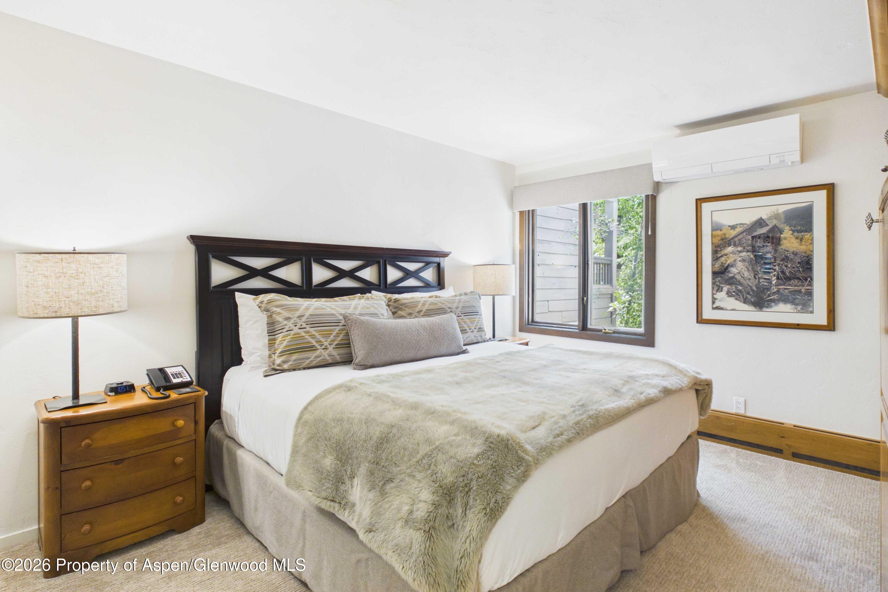 610 S West End Street Aspen CO 81611
