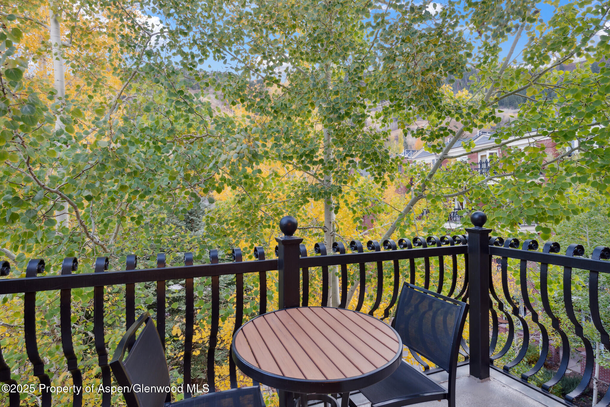 415 E Dean St., Unit 31, Week 11 Aspen CO 81611