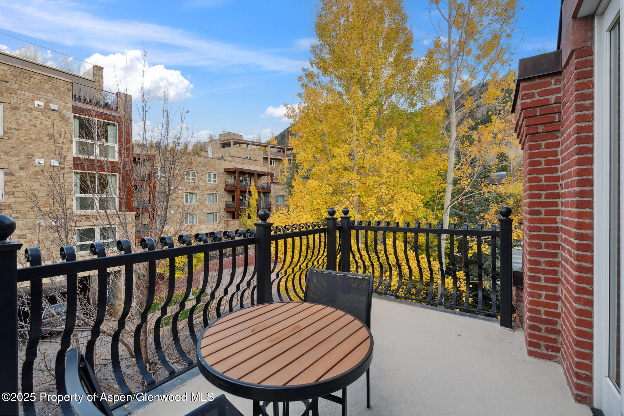 415 E Dean St., Unit 31, Week 11 Aspen CO 81611