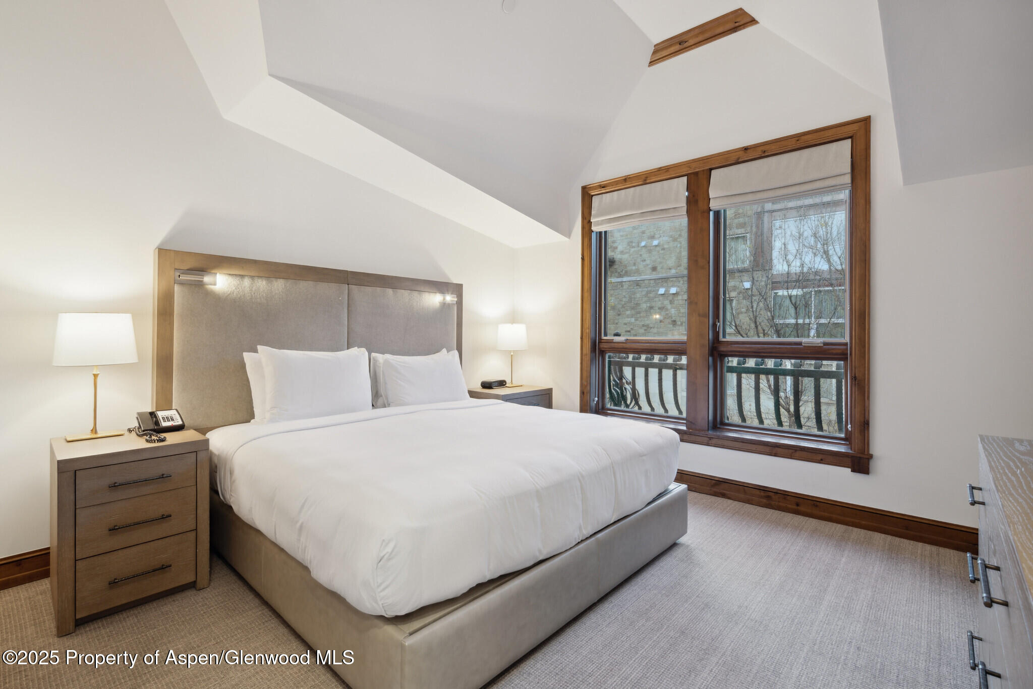 415 E Dean St., Unit 31, Week 11 Aspen CO 81611