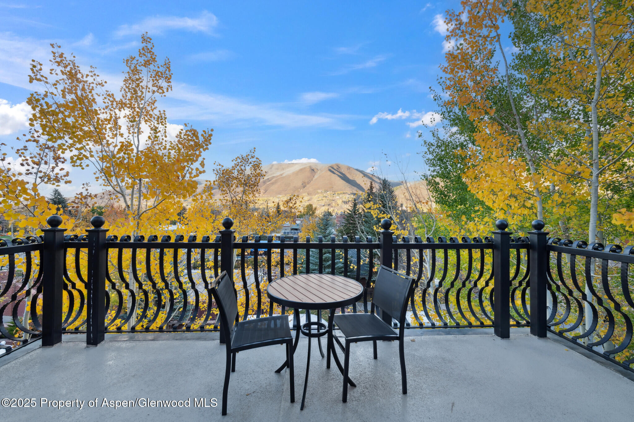 415 E Dean St., Unit 31, Week 11 Aspen CO 81611